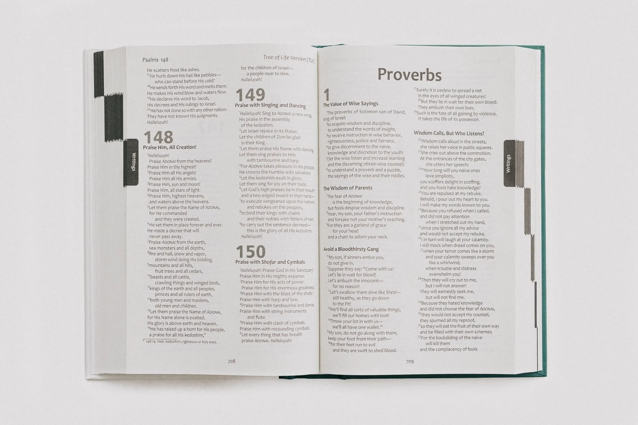 TLV Holy Scriptures: Thinline Edition (Hardback) - Image 14