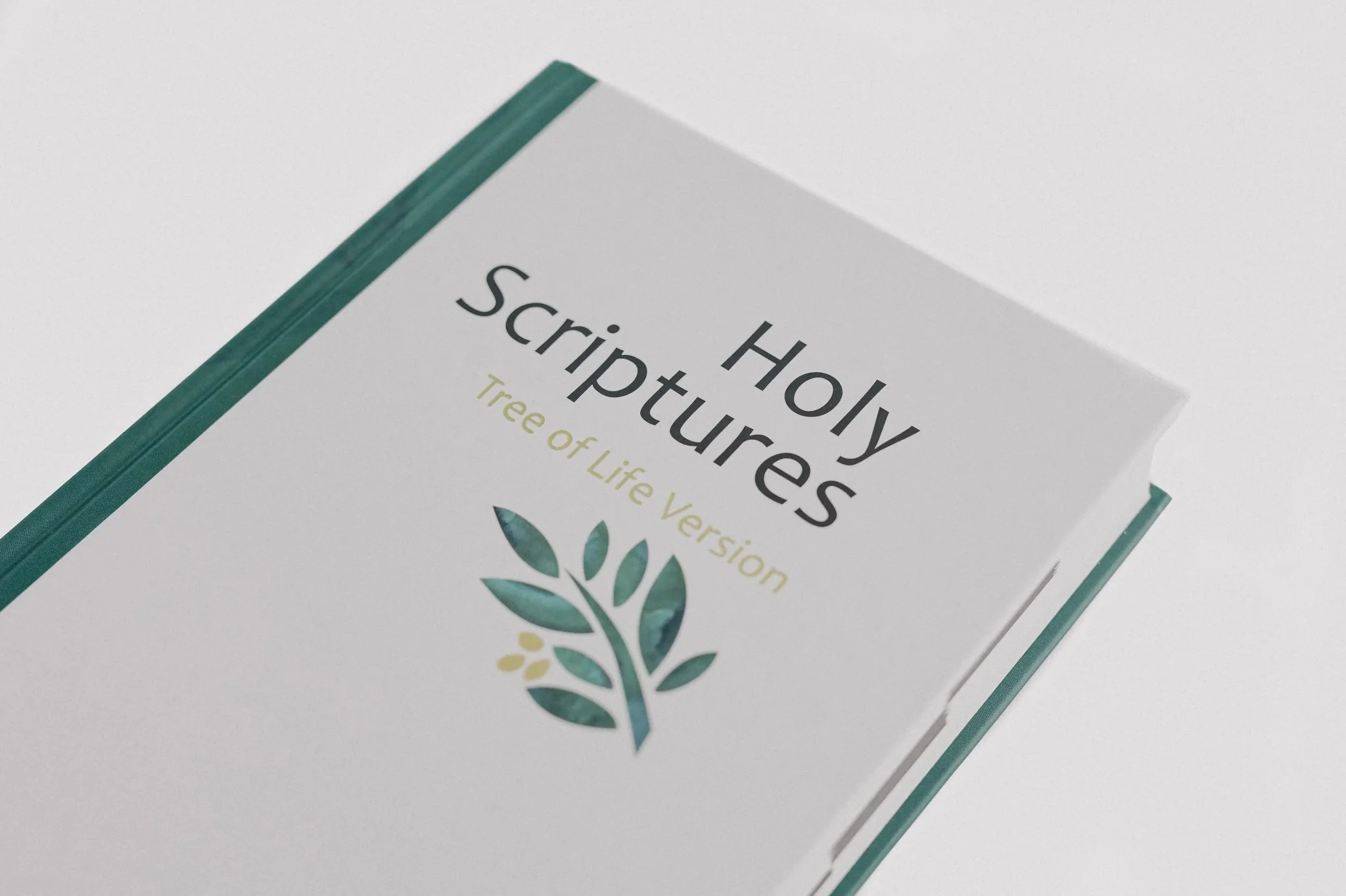 TLV Holy Scriptures: Thinline Edition (Hardback) - Image 6