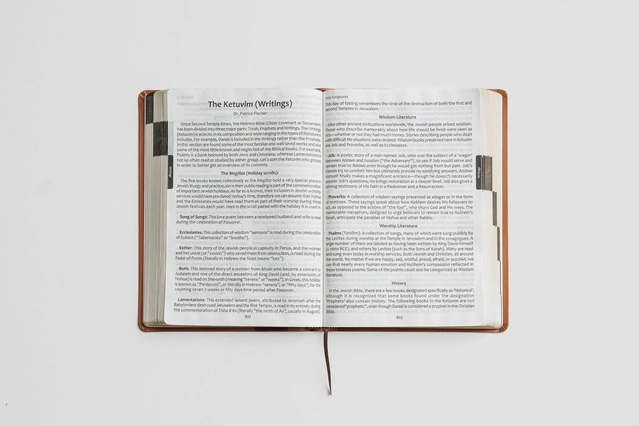 Tree of Life Bible: GIANT Print Edition - Image 10