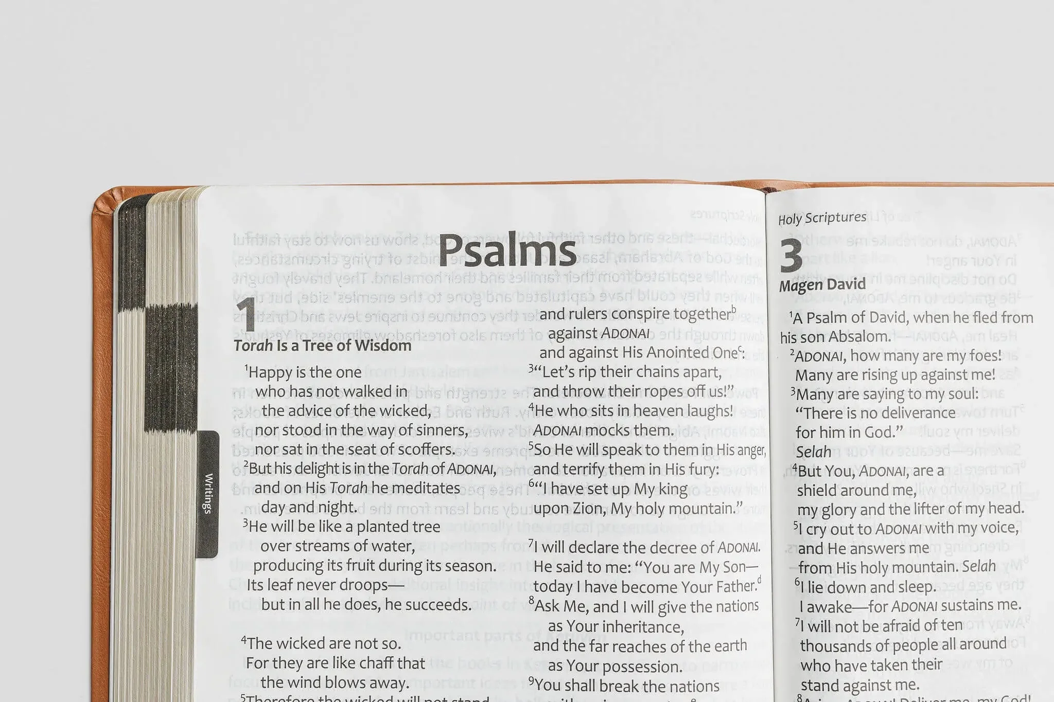 Tree of Life Bible: GIANT Print Edition - Image 11