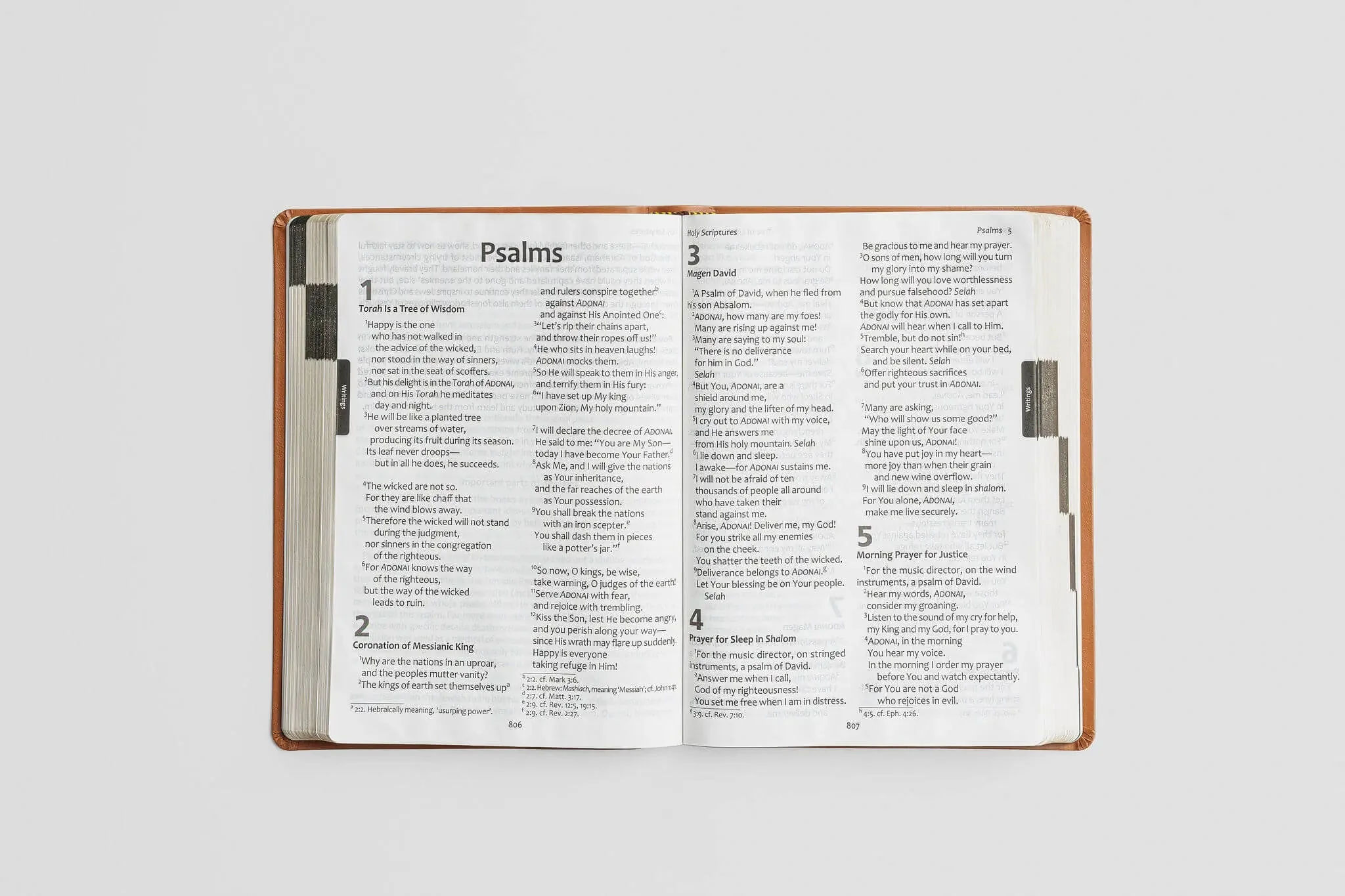 Tree of Life Bible: GIANT Print Edition - Image 12
