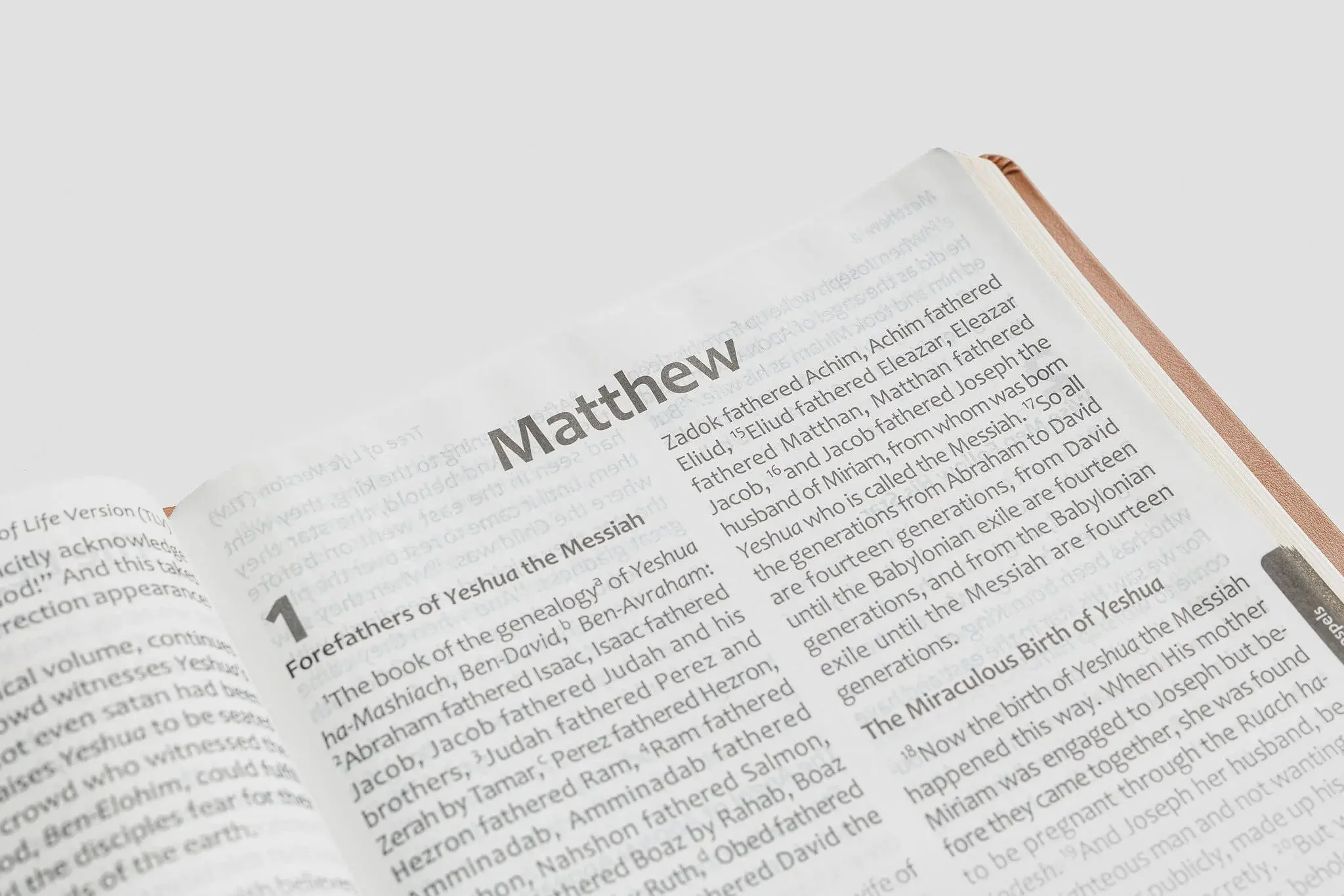 Tree of Life Bible: GIANT Print Edition - Image 13