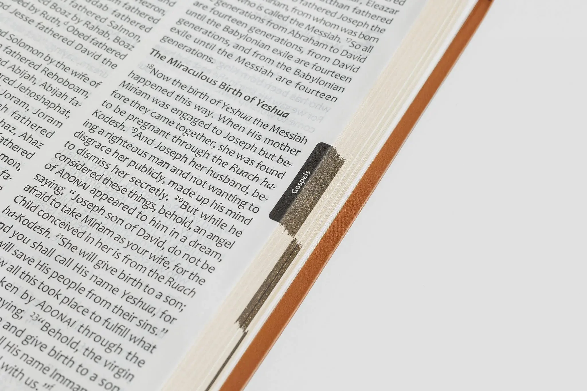 Tree of Life Bible: GIANT Print Edition - Image 14