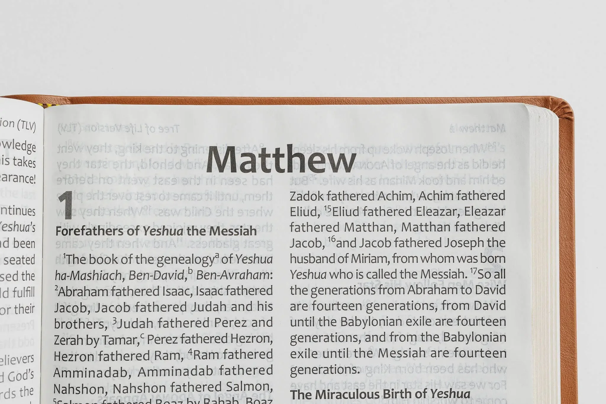 Tree of Life Bible: GIANT Print Edition - Image 15