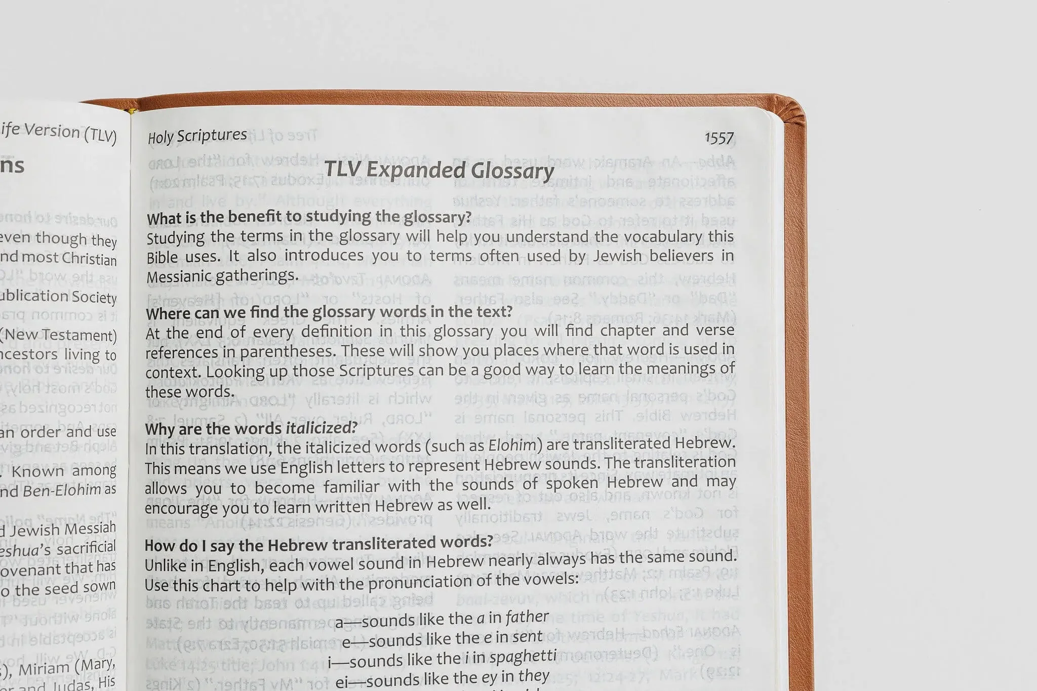 Tree of Life Bible: GIANT Print Edition - Image 16