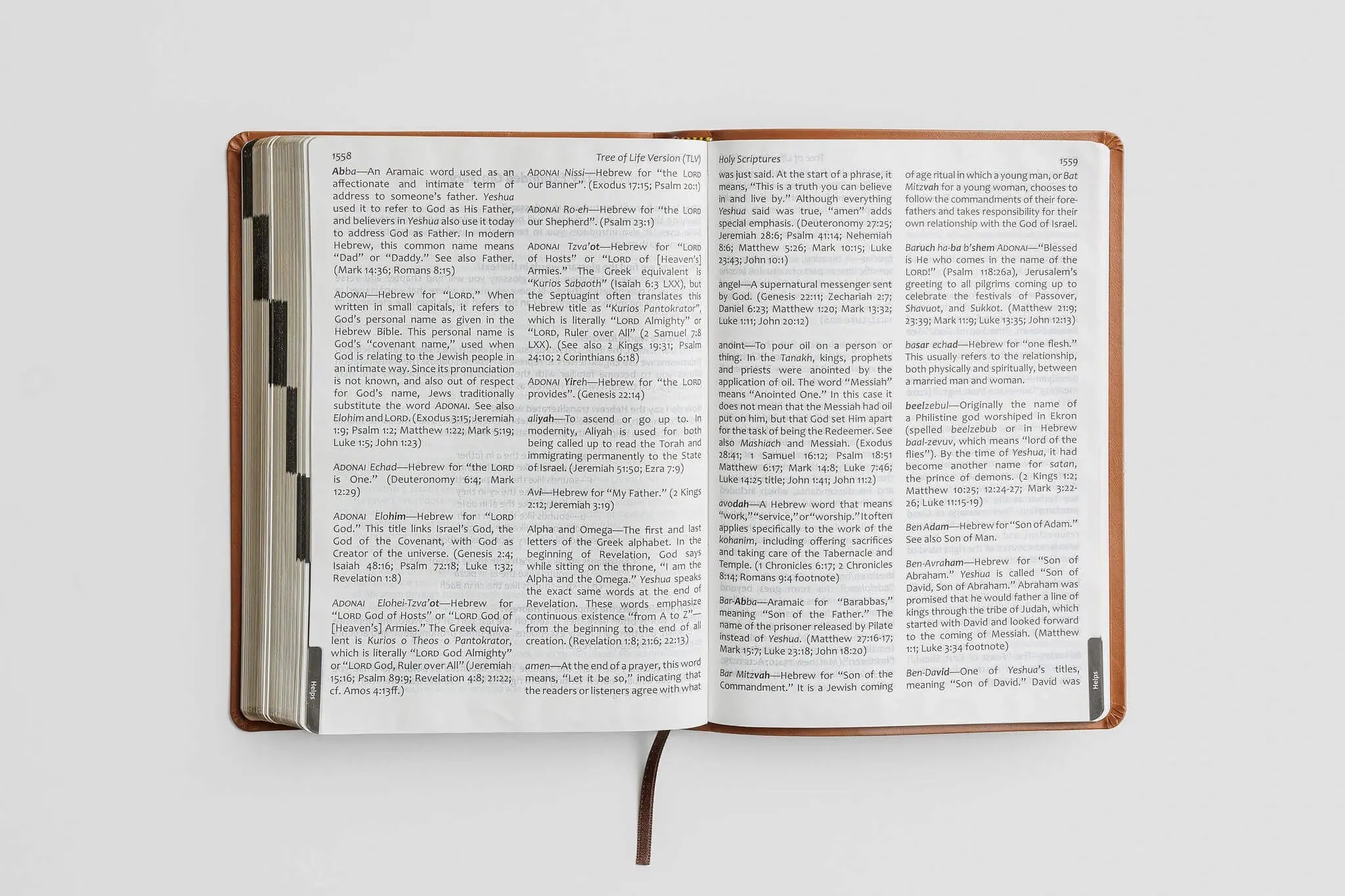 Tree of Life Bible: GIANT Print Edition - Image 17