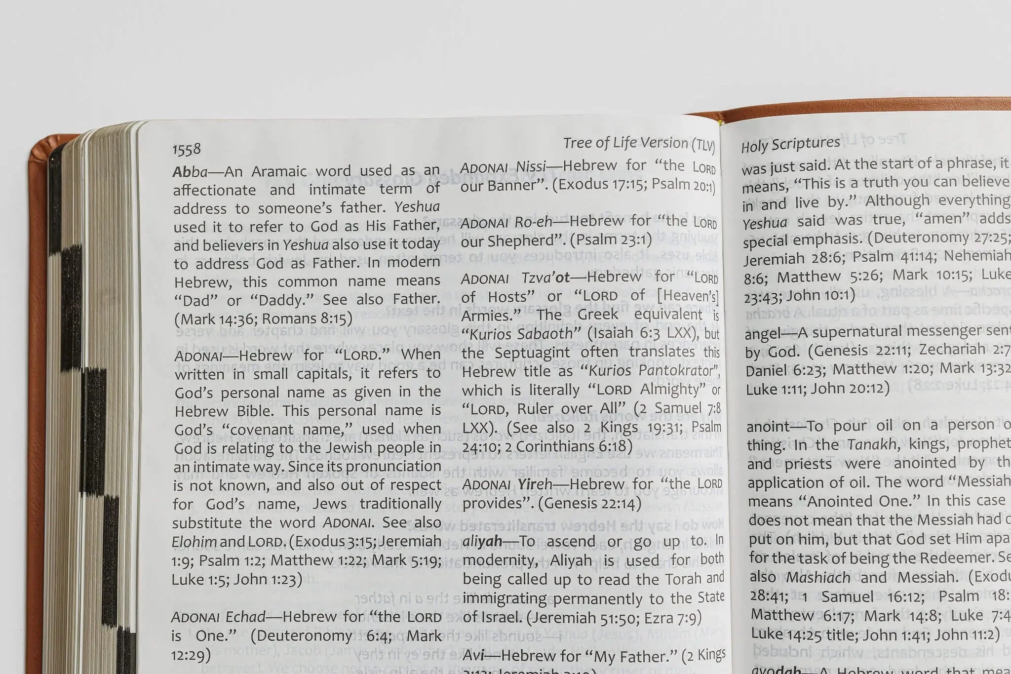 Tree of Life Bible: GIANT Print Edition - Image 18