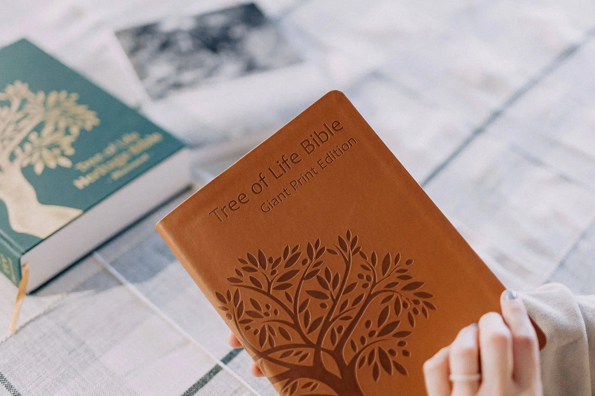 Tree of Life Bible: GIANT Print Edition - Image 21