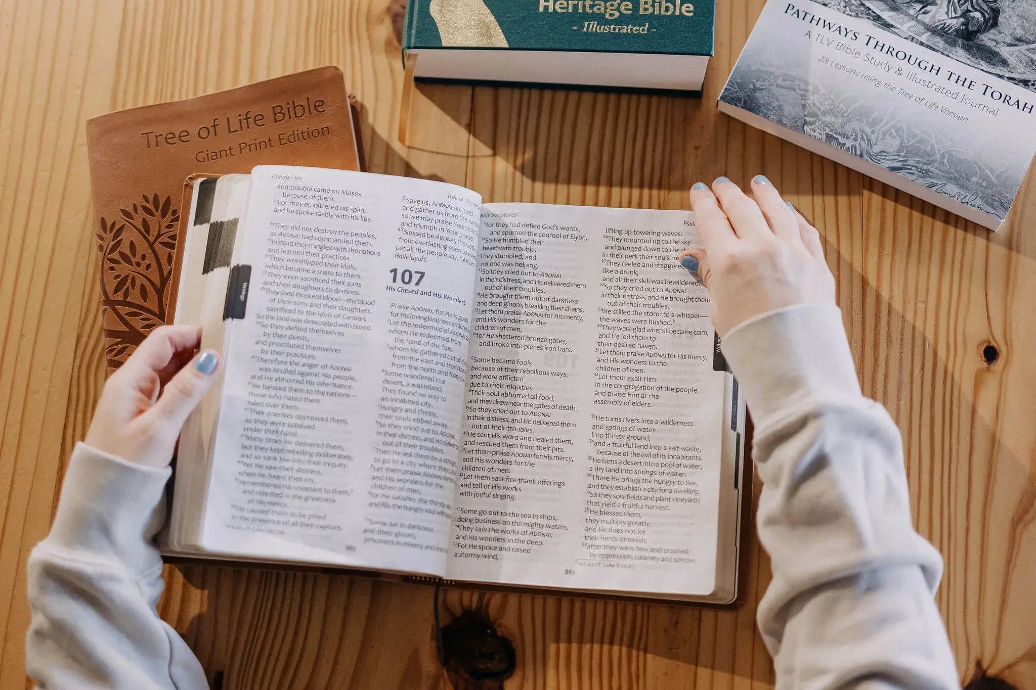 Tree of Life Bible: GIANT Print Edition - Image 22
