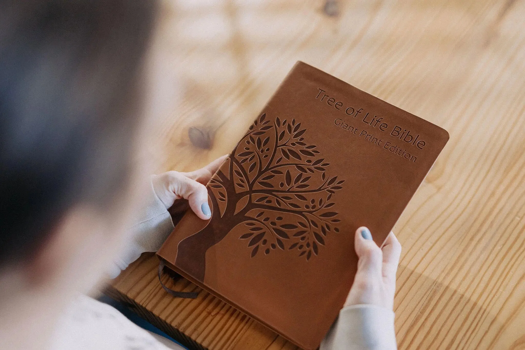 Tree of Life Bible: GIANT Print Edition - Image 23