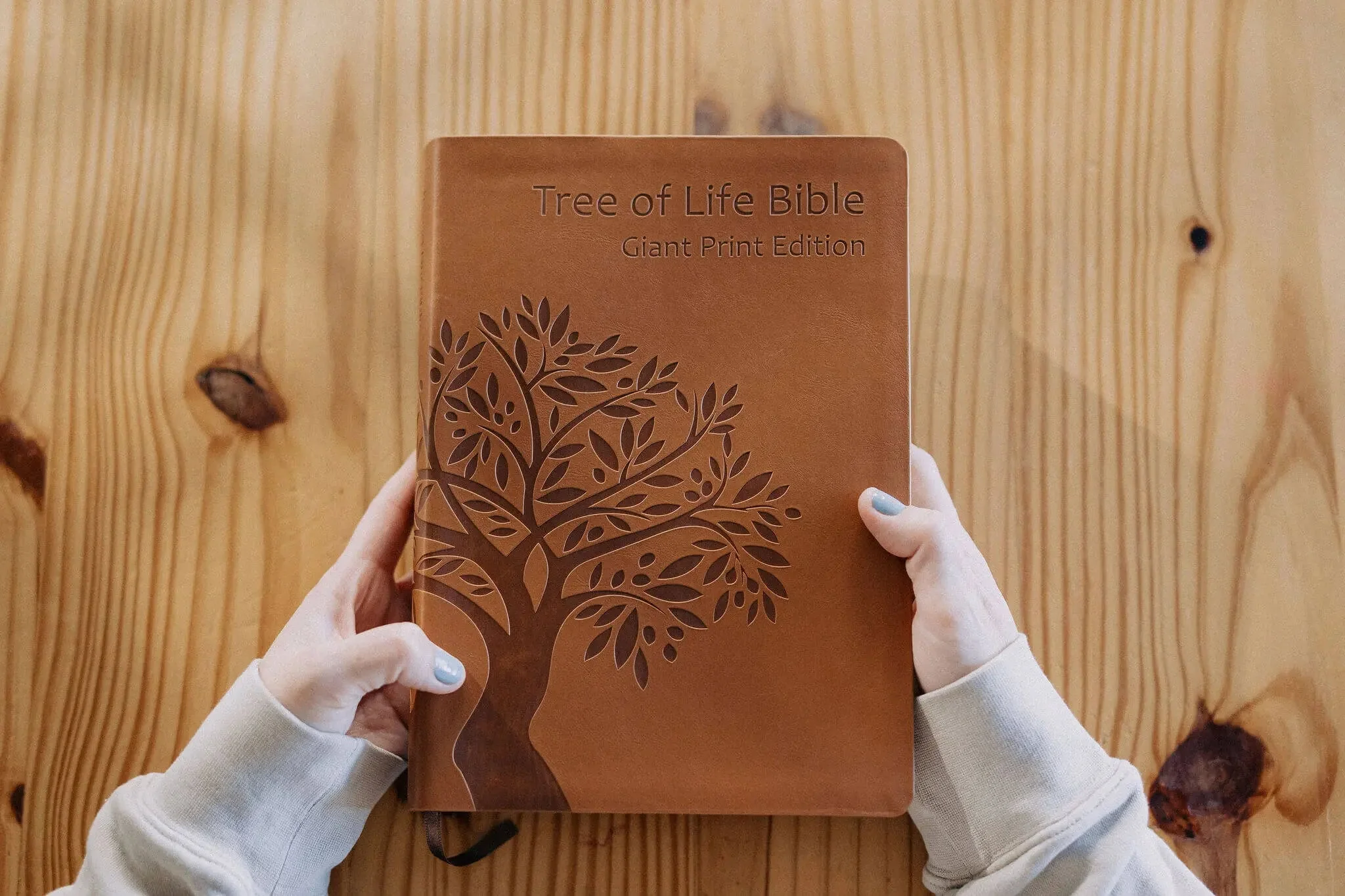 Tree of Life Bible: GIANT Print Edition - Image 24