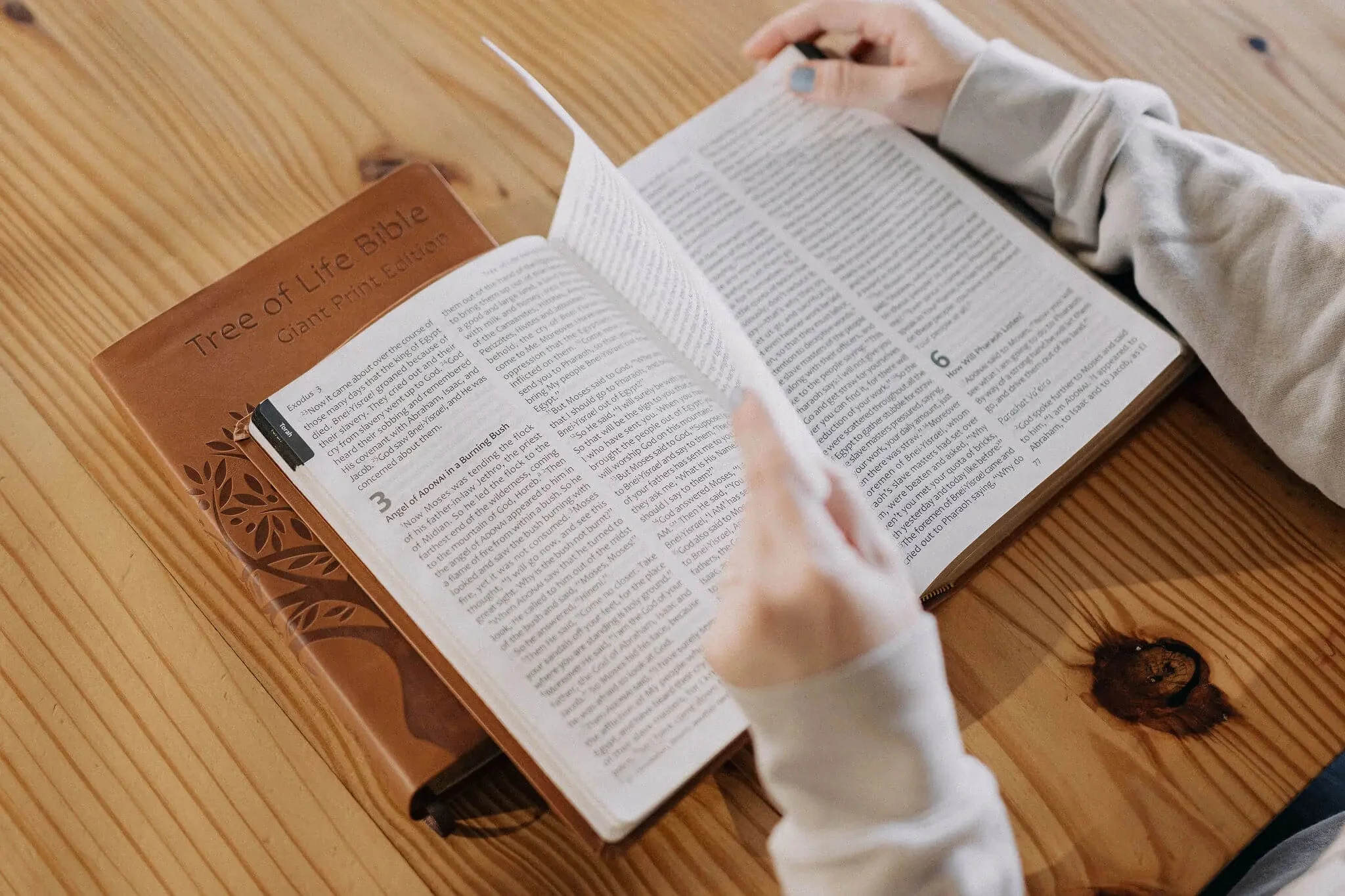 Tree of Life Bible: GIANT Print Edition - Image 25