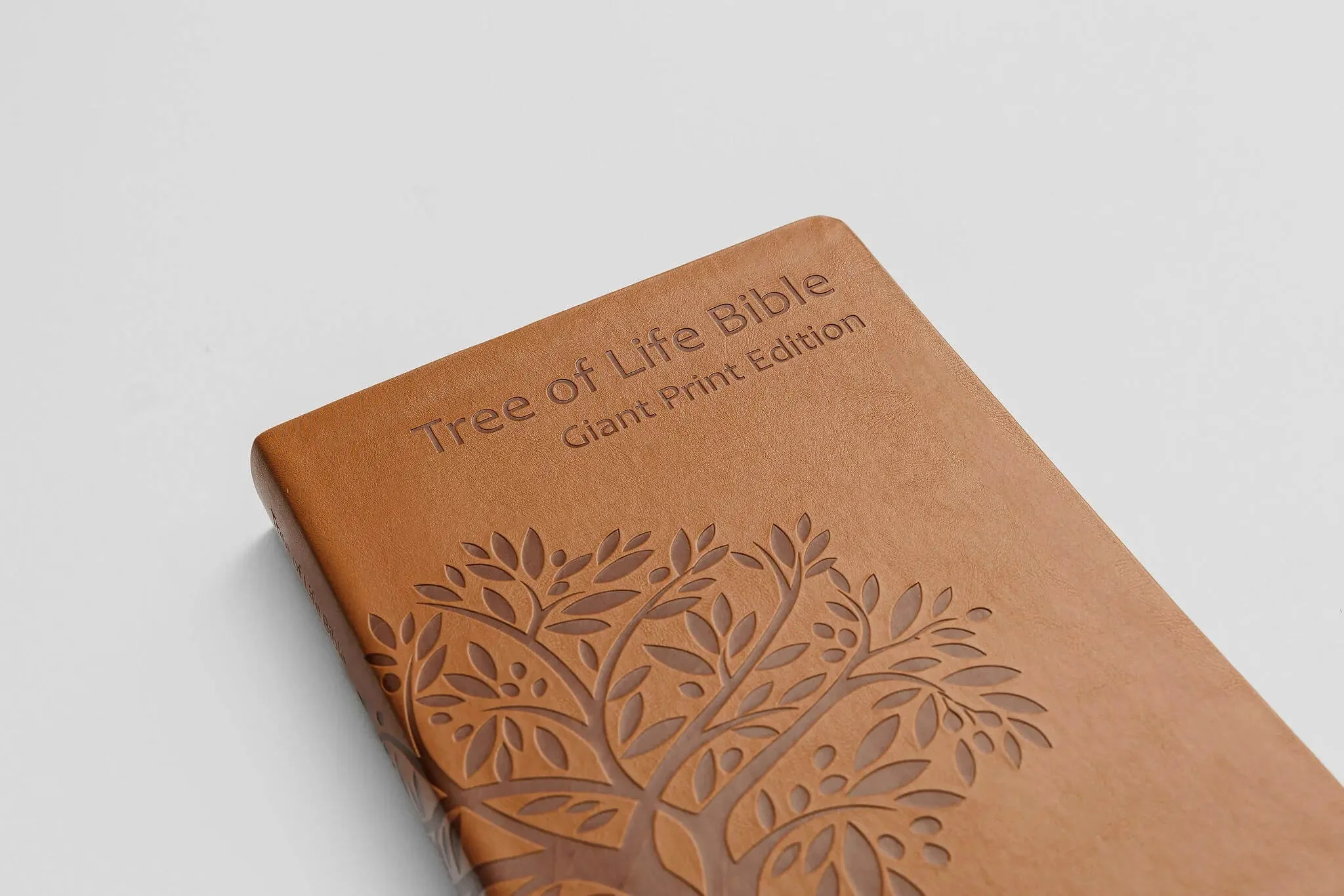 Tree of Life Bible: GIANT Print Edition - Image 5