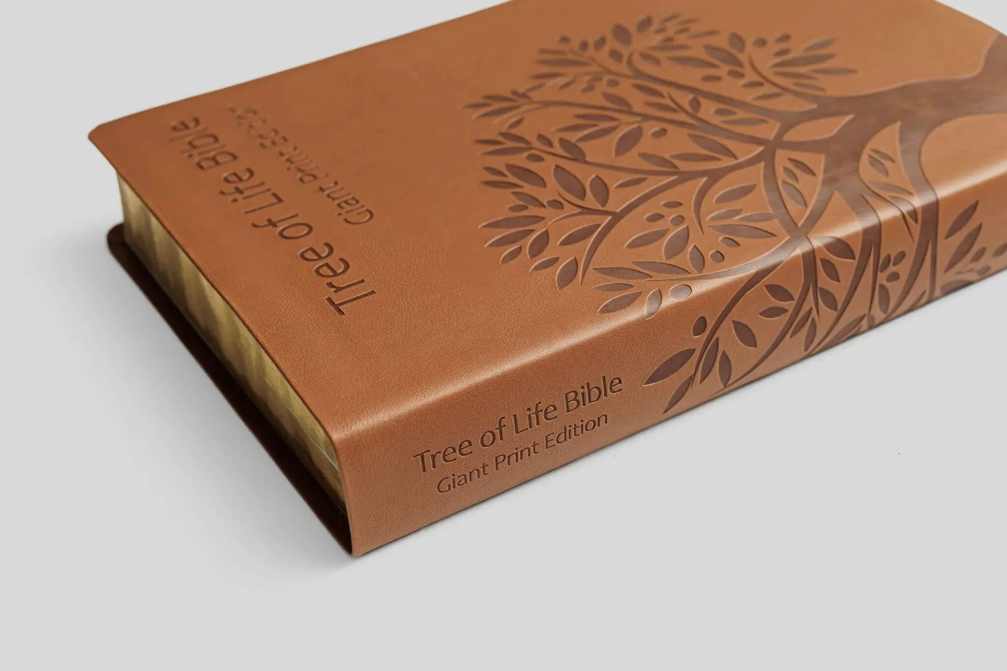 Tree of Life Bible: GIANT Print Edition - Image 6