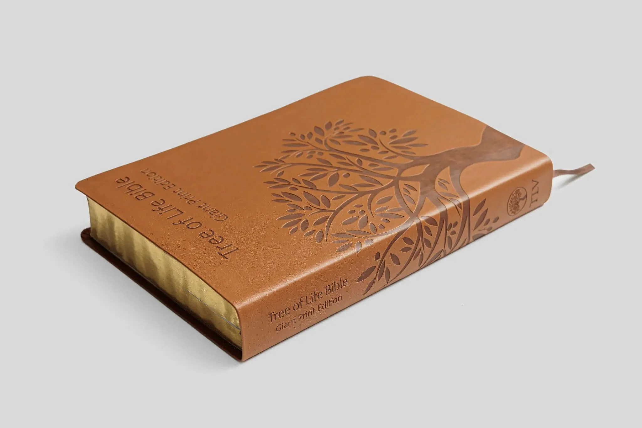 Tree of Life Bible: GIANT Print Edition - Image 7