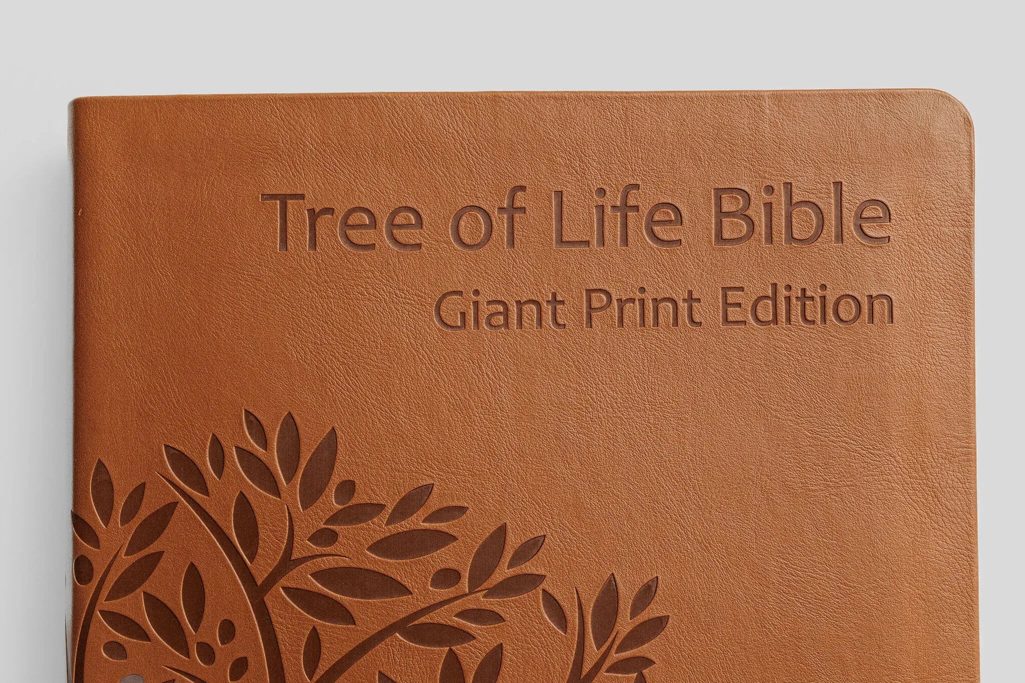 Tree of Life Bible: GIANT Print Edition - Image 8