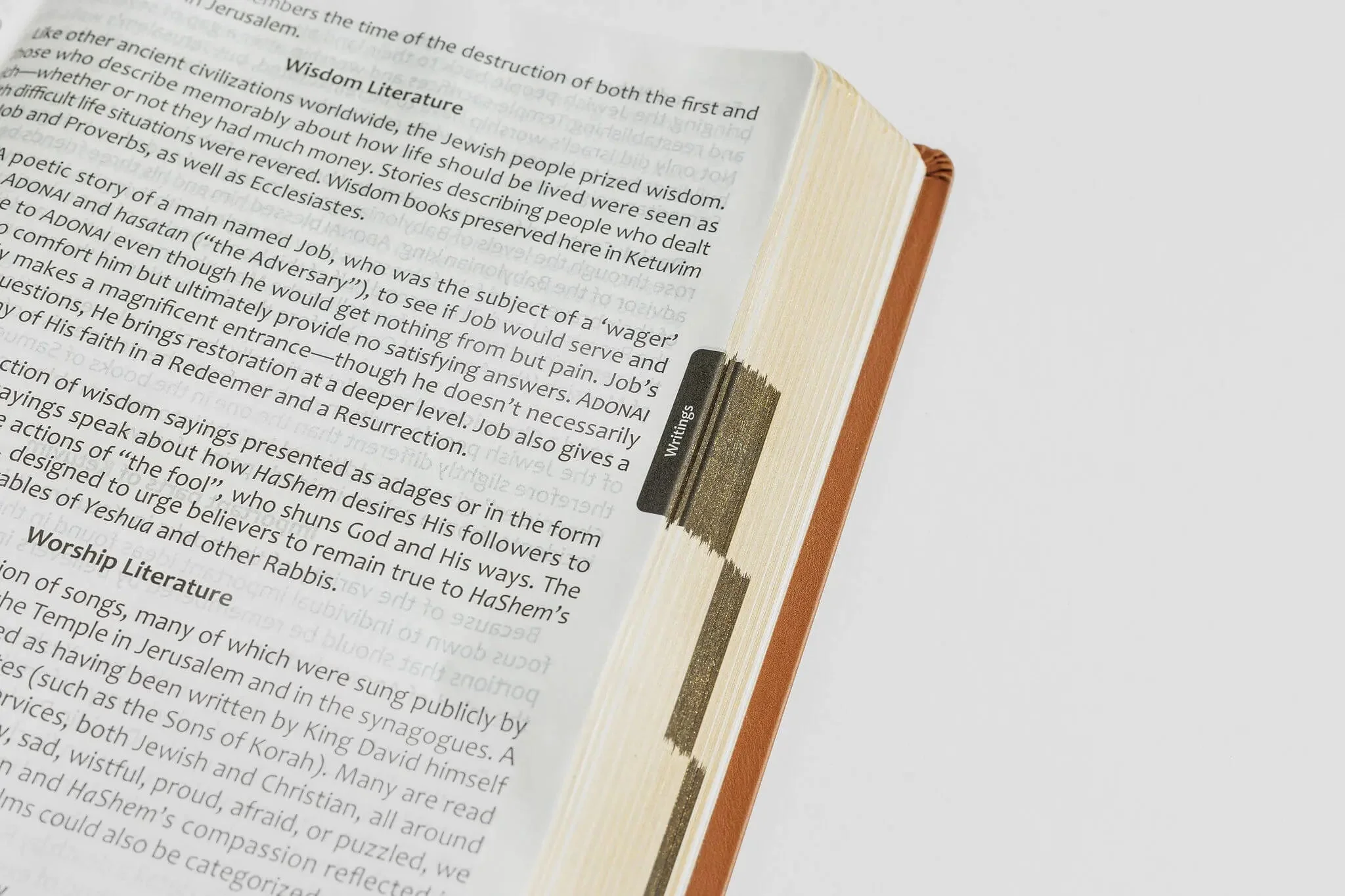 Tree of Life Bible: GIANT Print Edition - Image 9