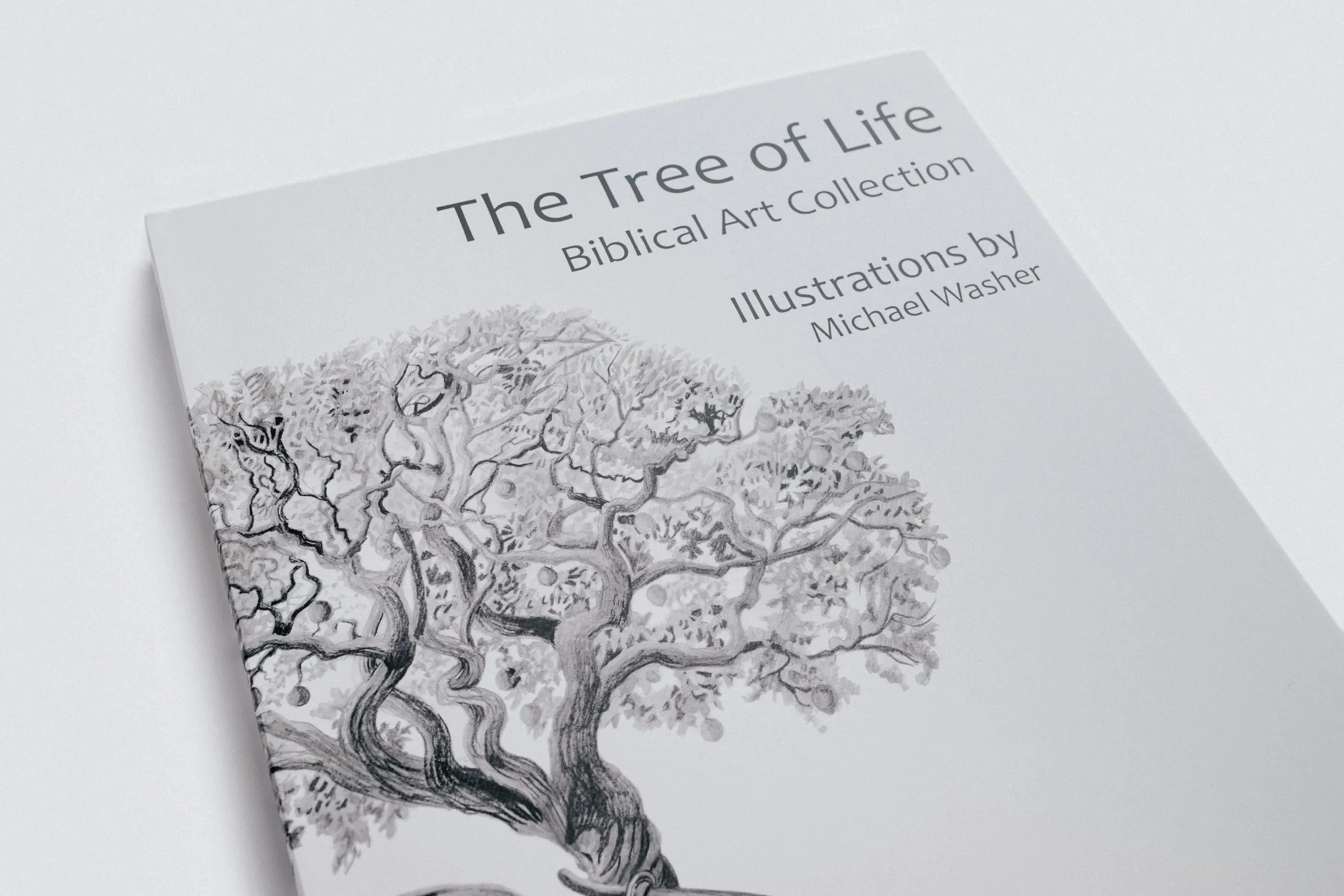 TLV Biblical Art Coffee Table Book - Image 4