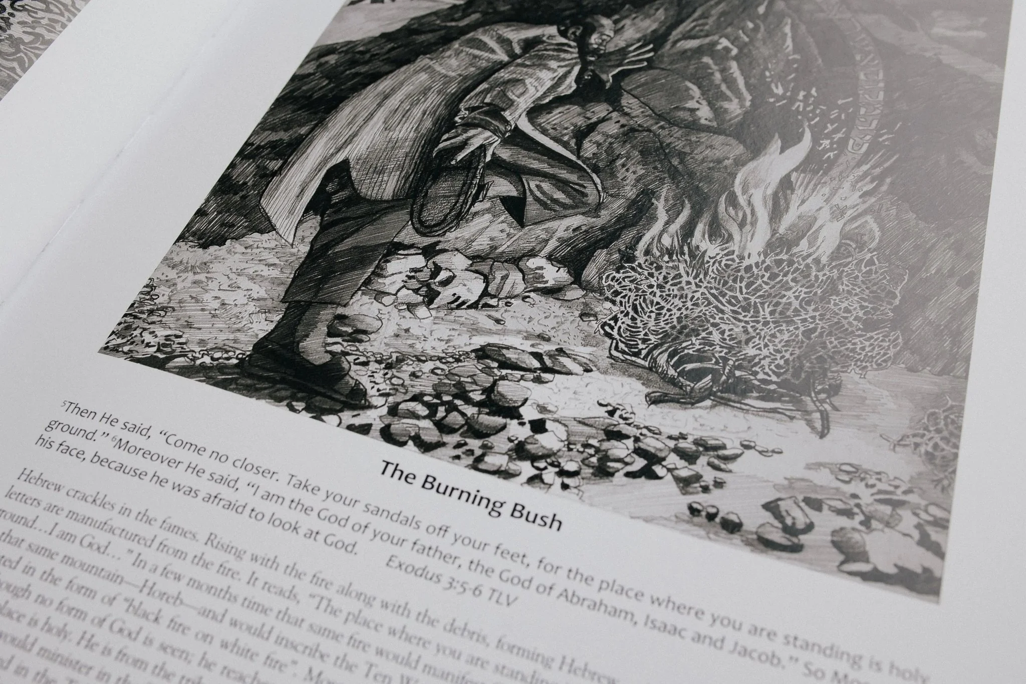 TLV Biblical Art Coffee Table Book - Image 8