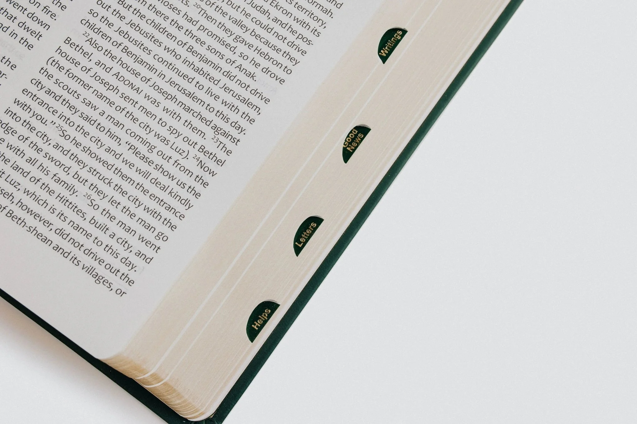 Tree of Life Family Bible (TLV) - Image 10