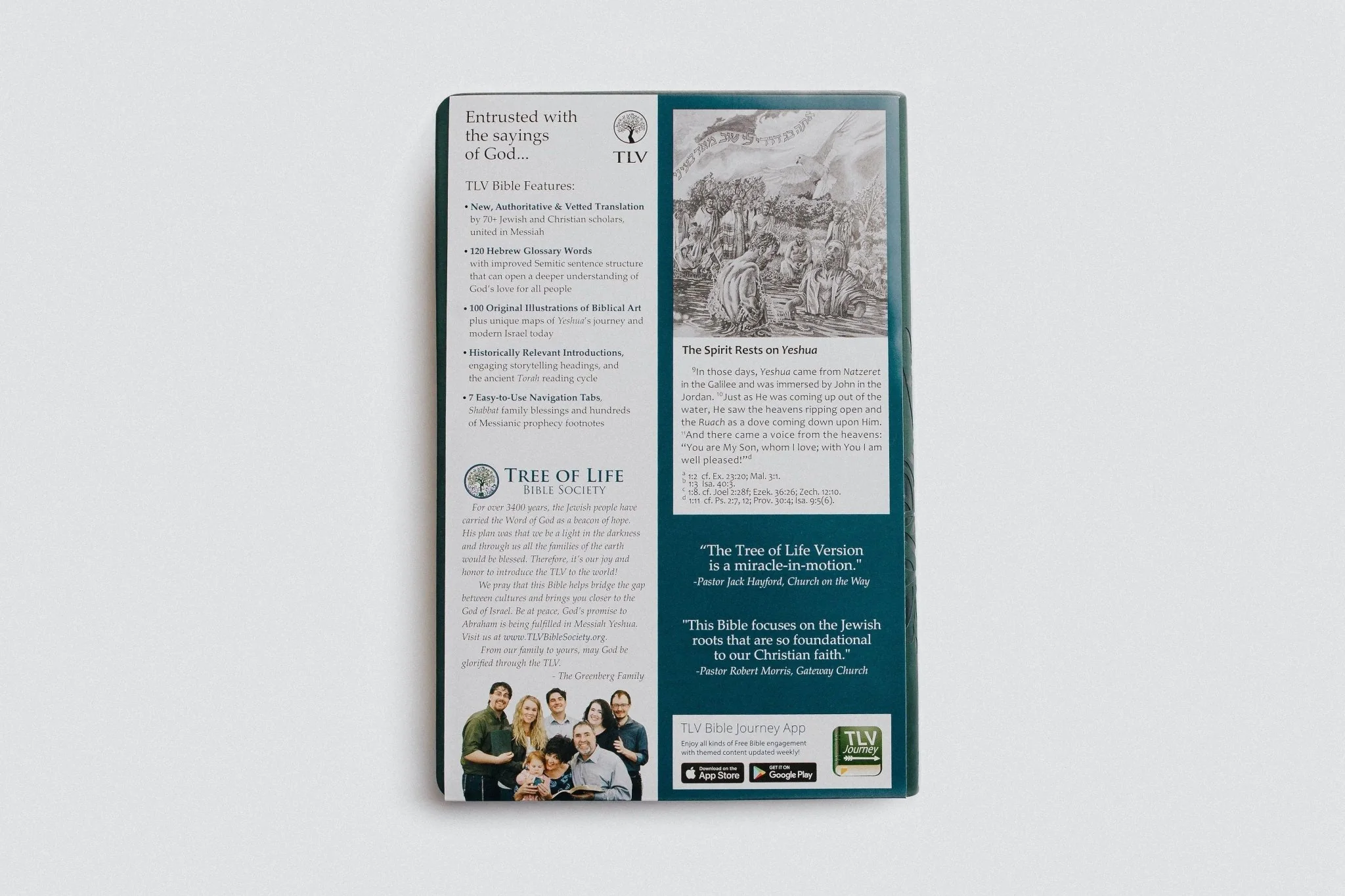 Tree of Life Family Bible (TLV) - Image 4