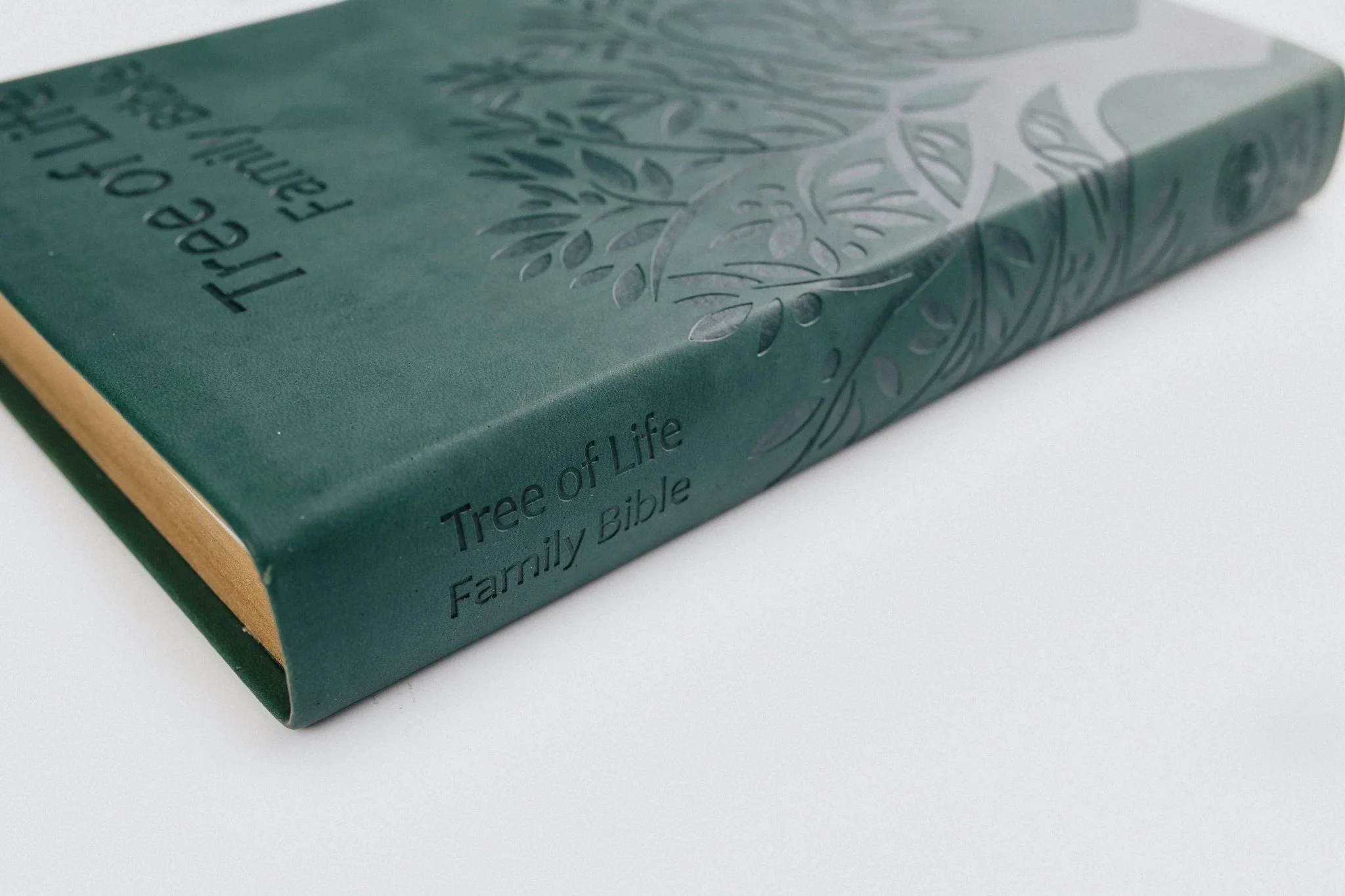 Tree of Life Family Bible (TLV) - Image 6