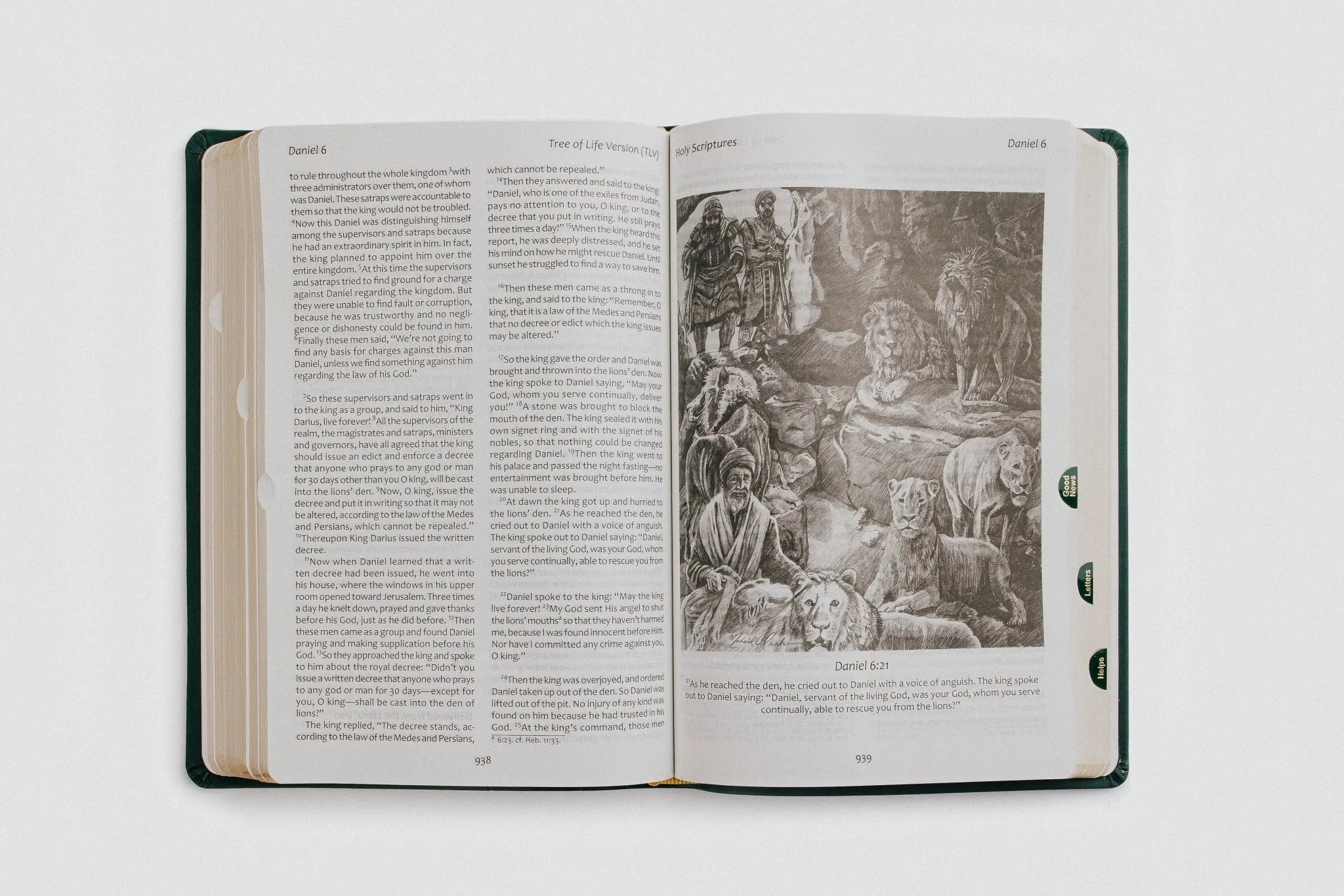 Tree of Life Family Bible (TLV) - Image 7