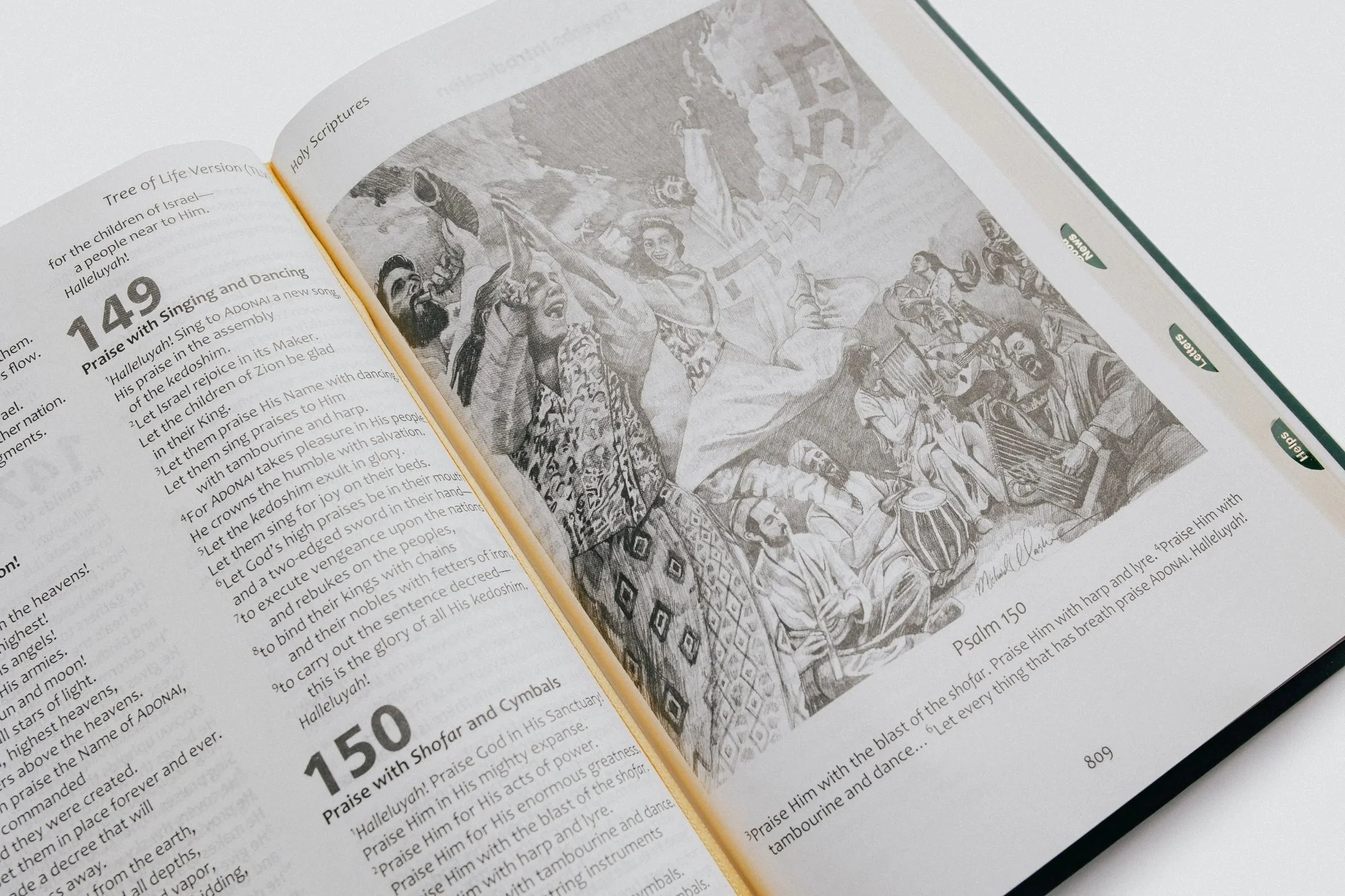 Tree of Life Family Bible (TLV) - Image 9
