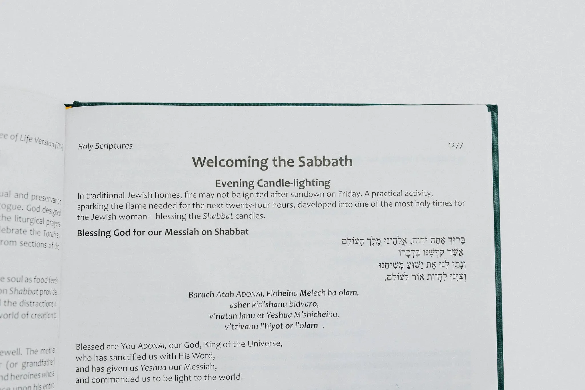 TLV Heritage Bible [Illustrated] - Image 10