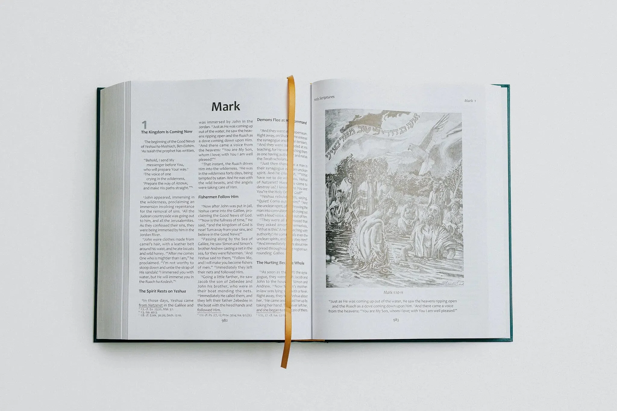 TLV Heritage Bible [Illustrated] - Image 12