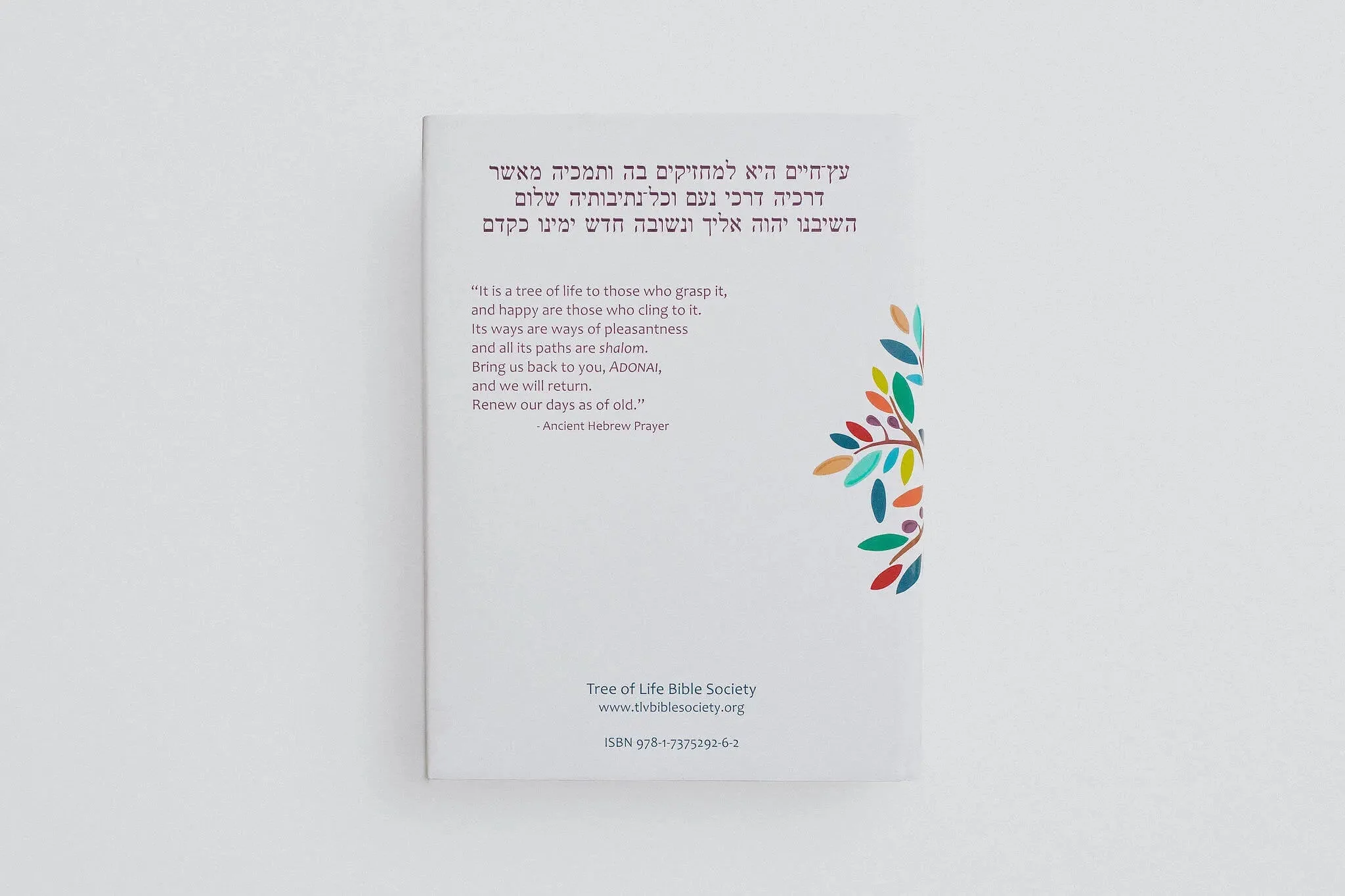 TLV Heritage Bible [Illustrated] - Image 13