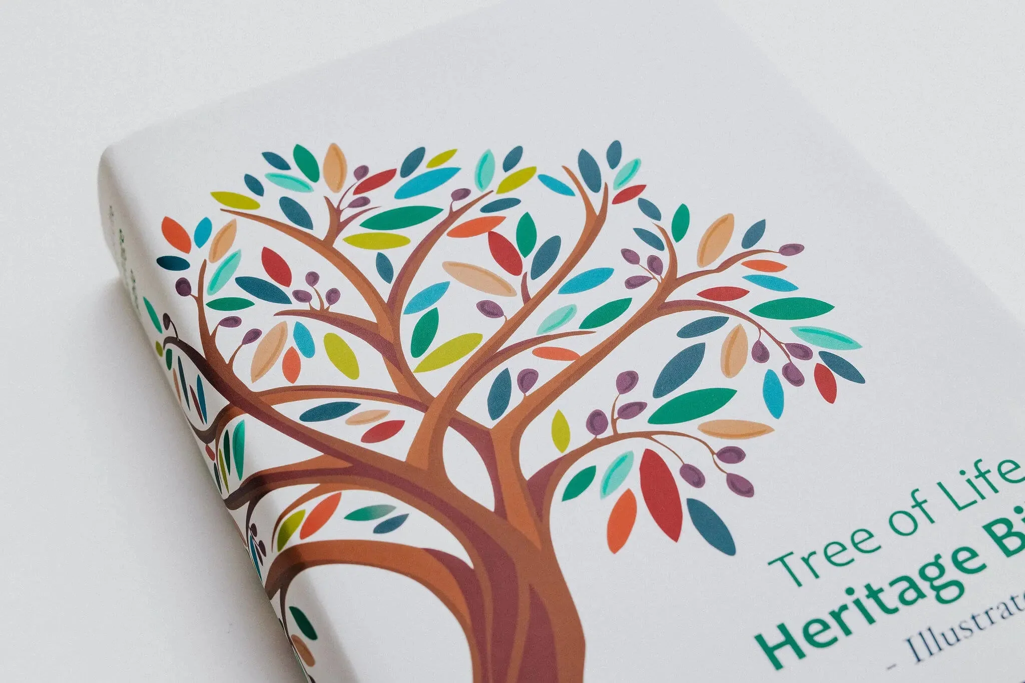 TLV Heritage Bible [Illustrated] - Image 14