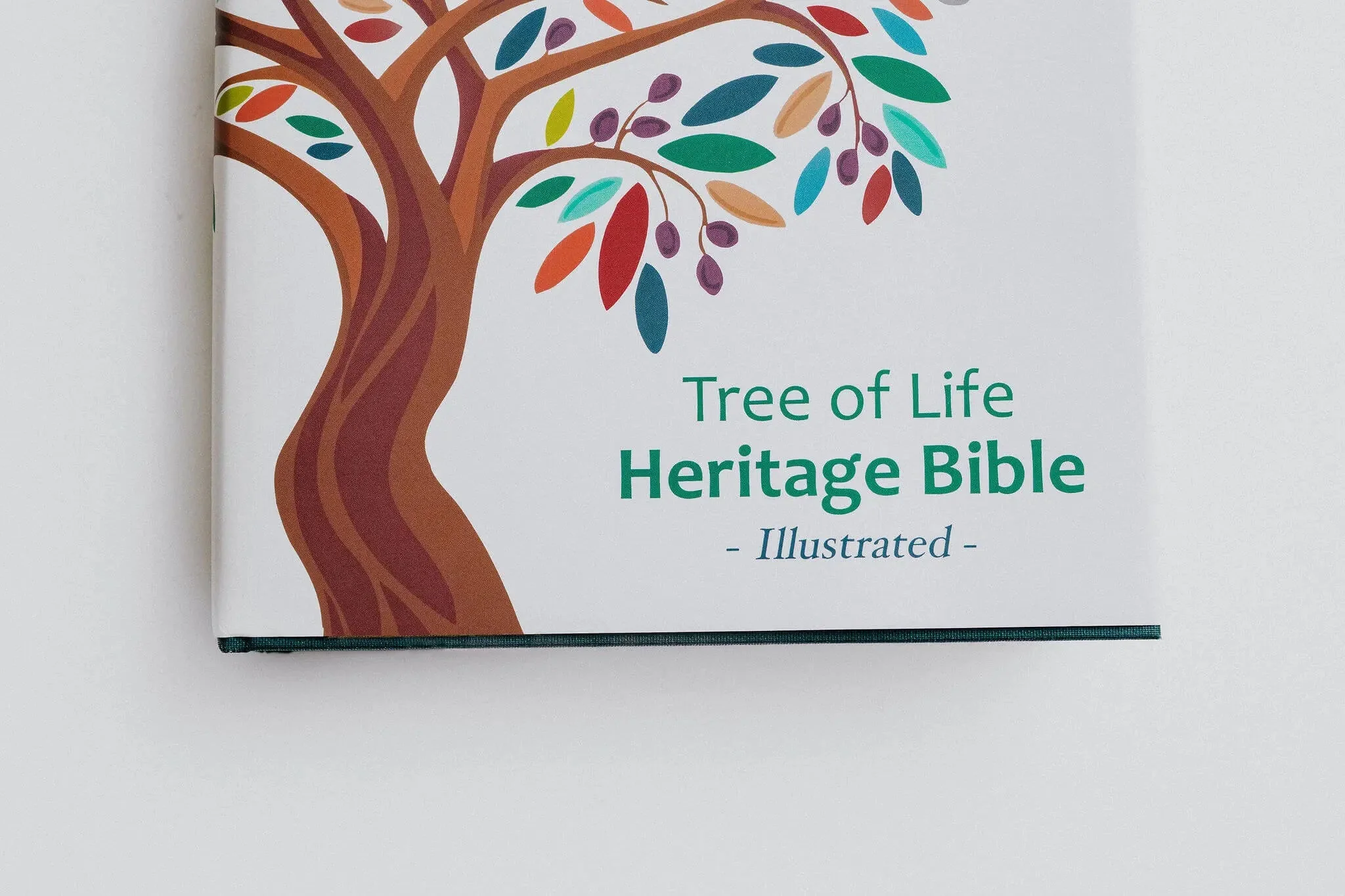TLV Heritage Bible [Illustrated] - Image 15