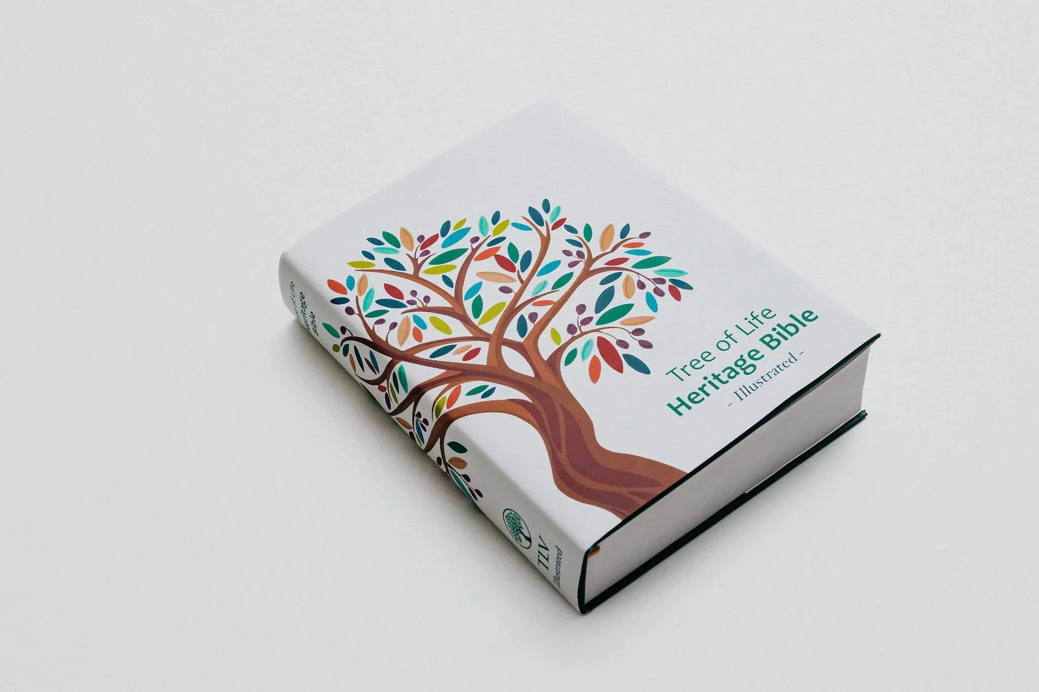 TLV Heritage Bible [Illustrated] - Image 16