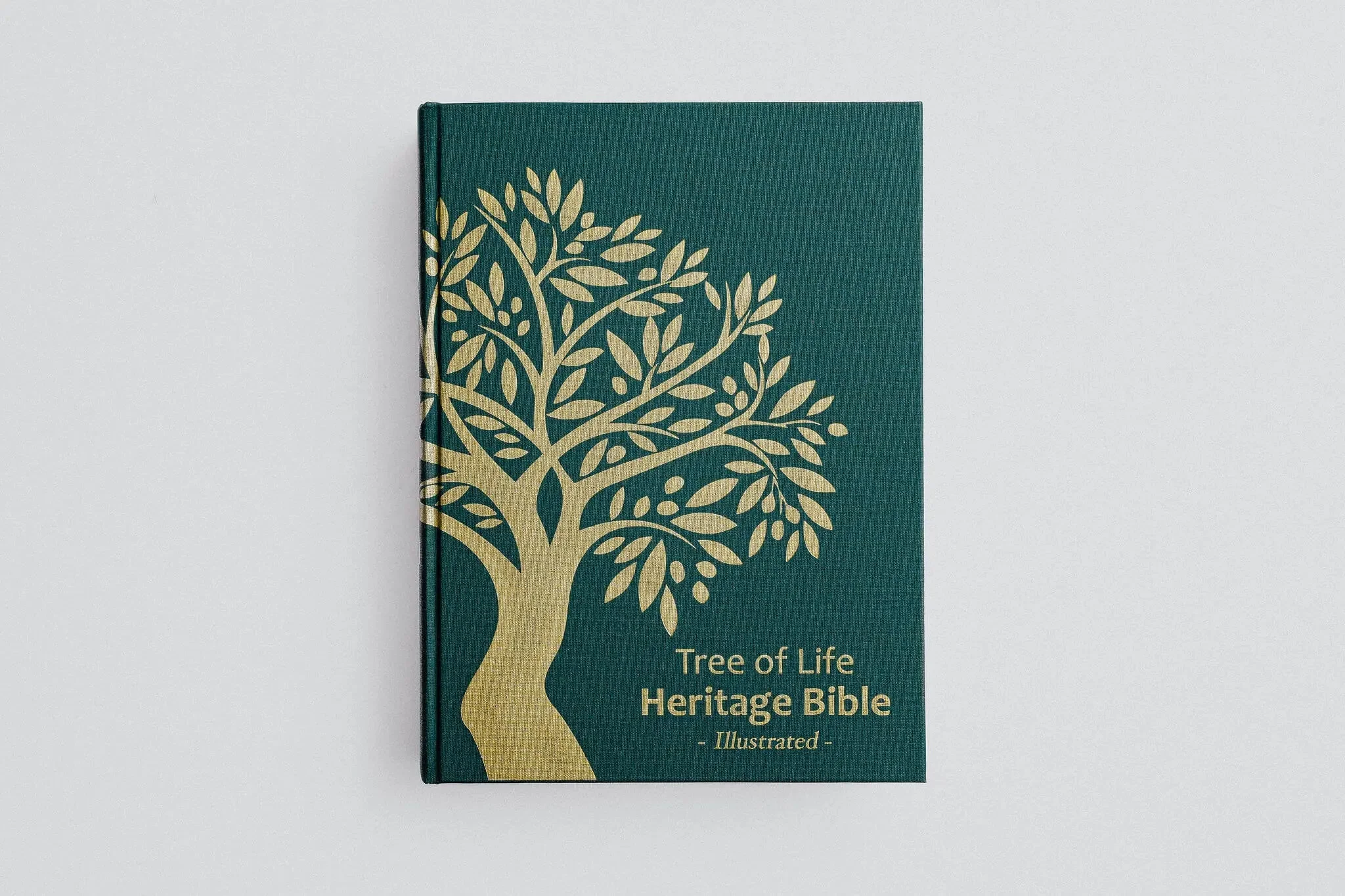 TLV Heritage Bible [Illustrated] - Image 17