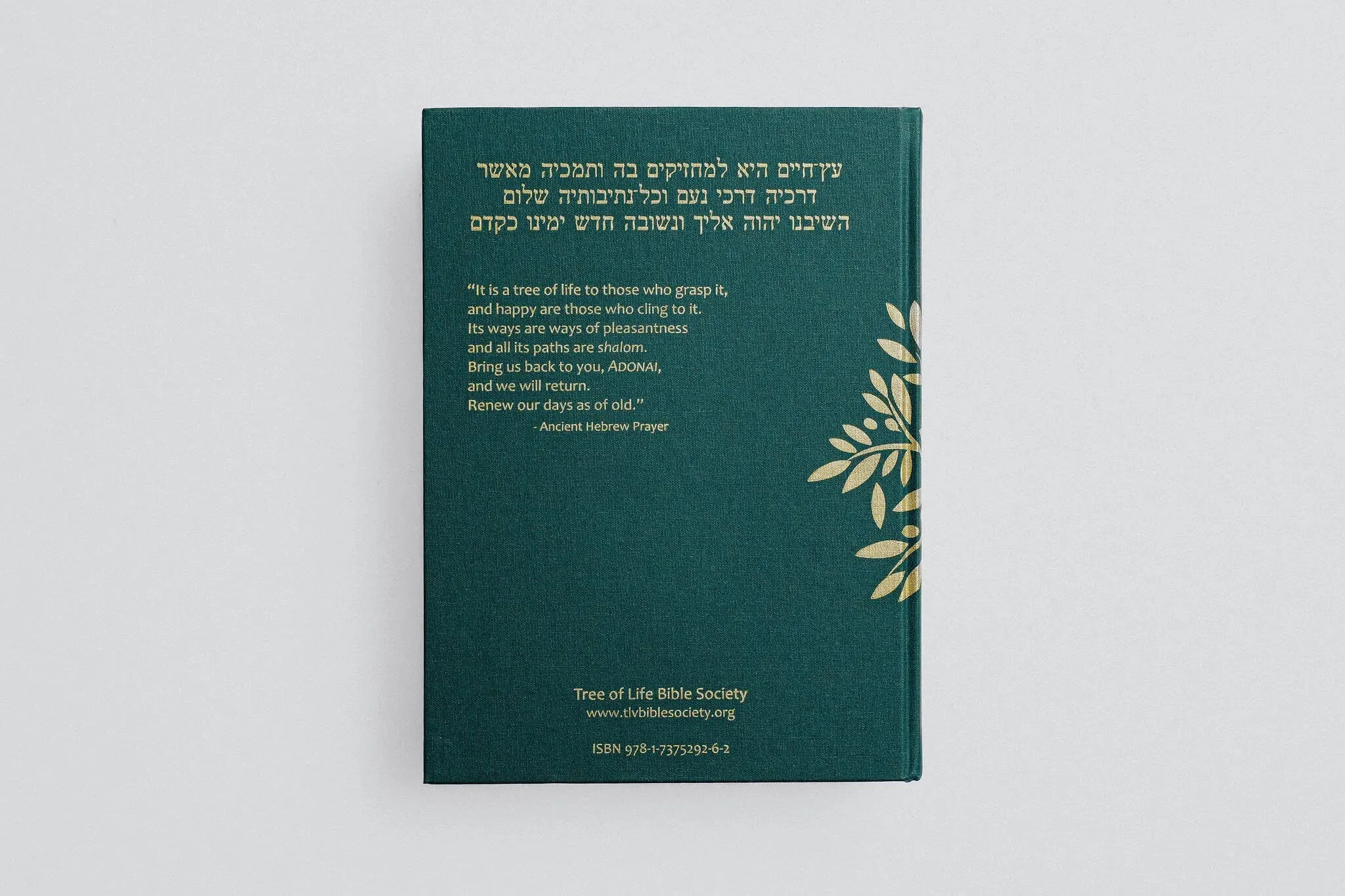 TLV Heritage Bible [Illustrated] - Image 18