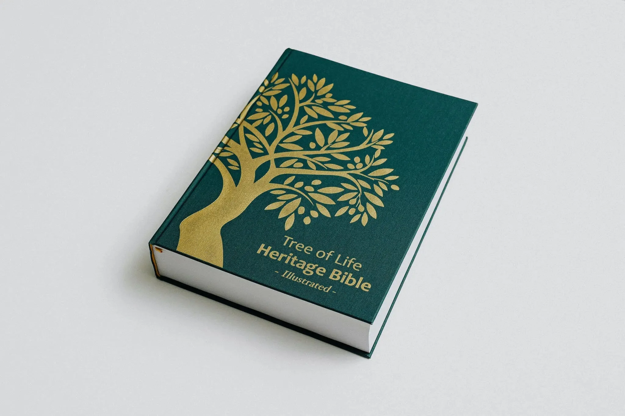TLV Heritage Bible [Illustrated] - Image 21