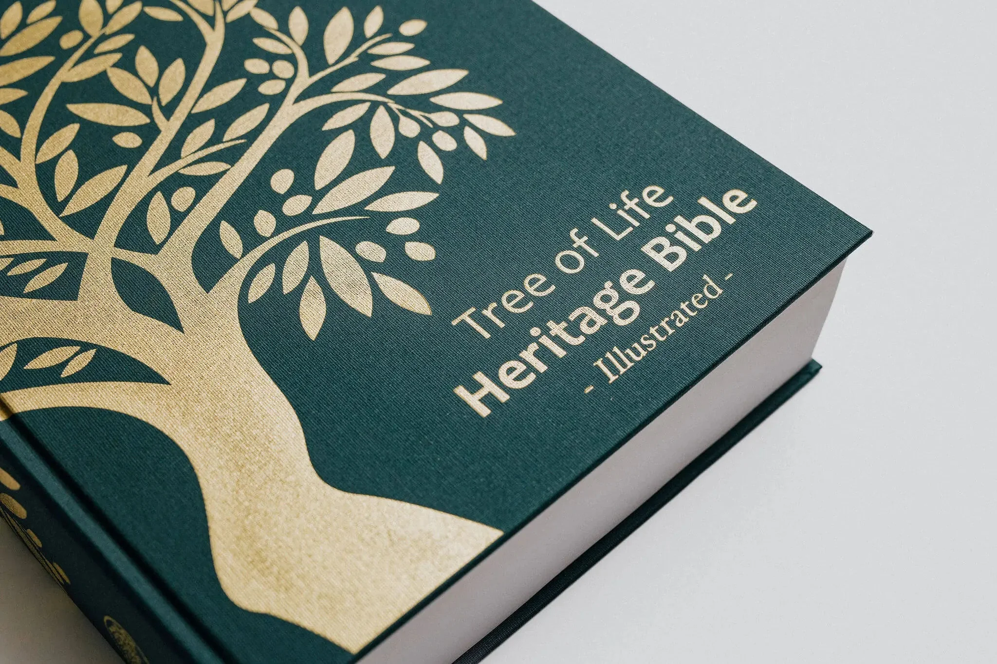 TLV Heritage Bible [Illustrated] - Image 23
