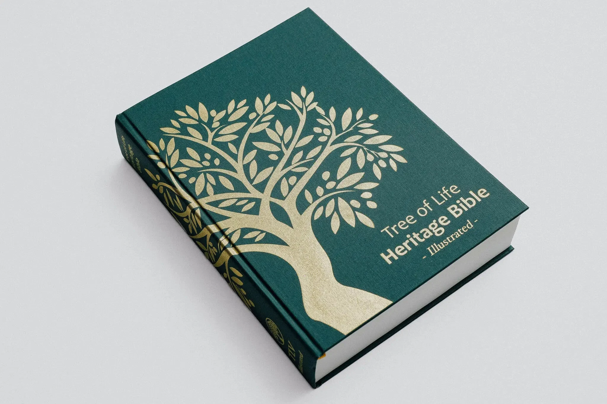 TLV Heritage Bible [Illustrated] - Image 25