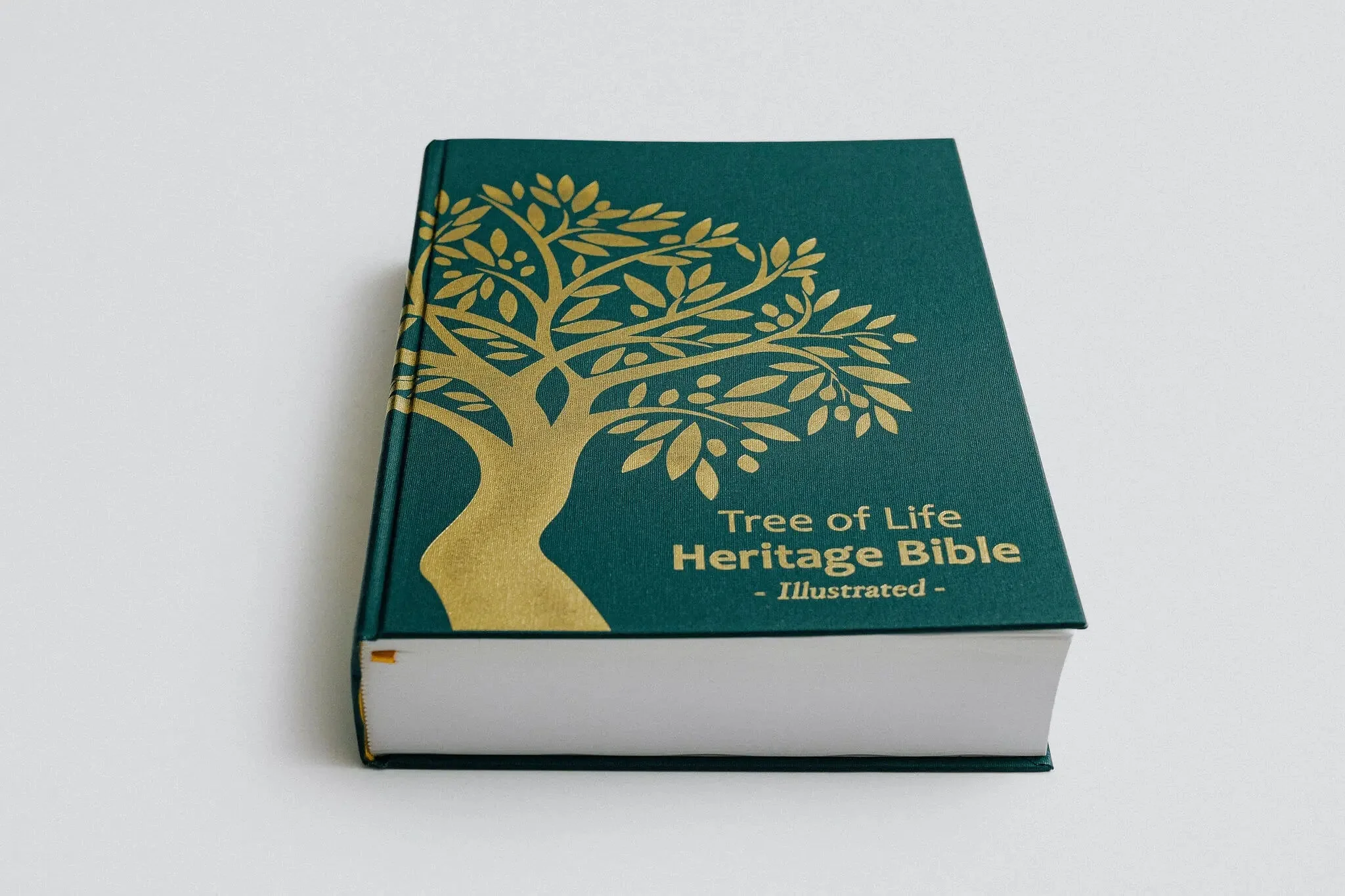 TLV Heritage Bible [Illustrated] - Image 26