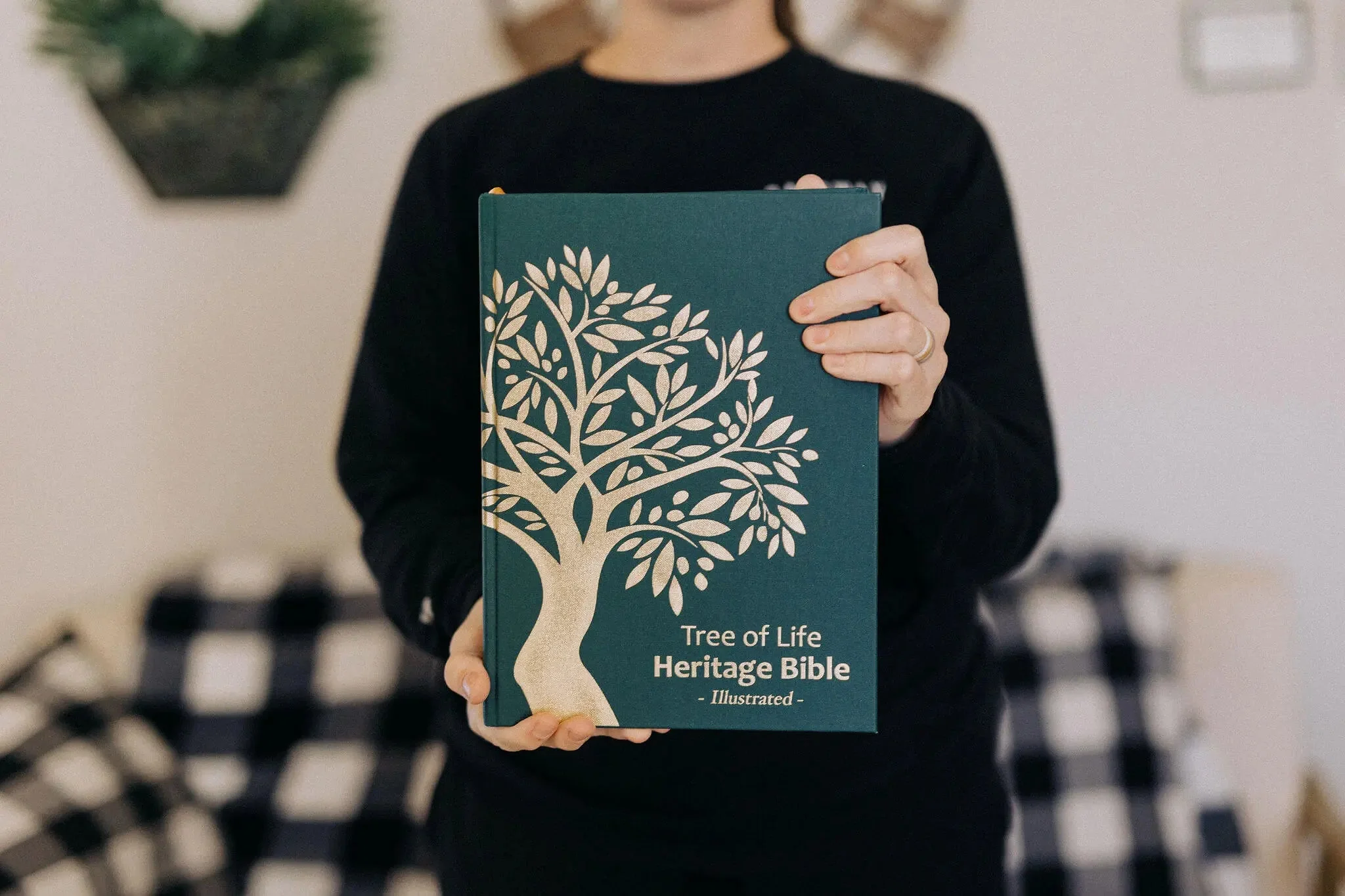 TLV Heritage Bible [Illustrated] - Image 34