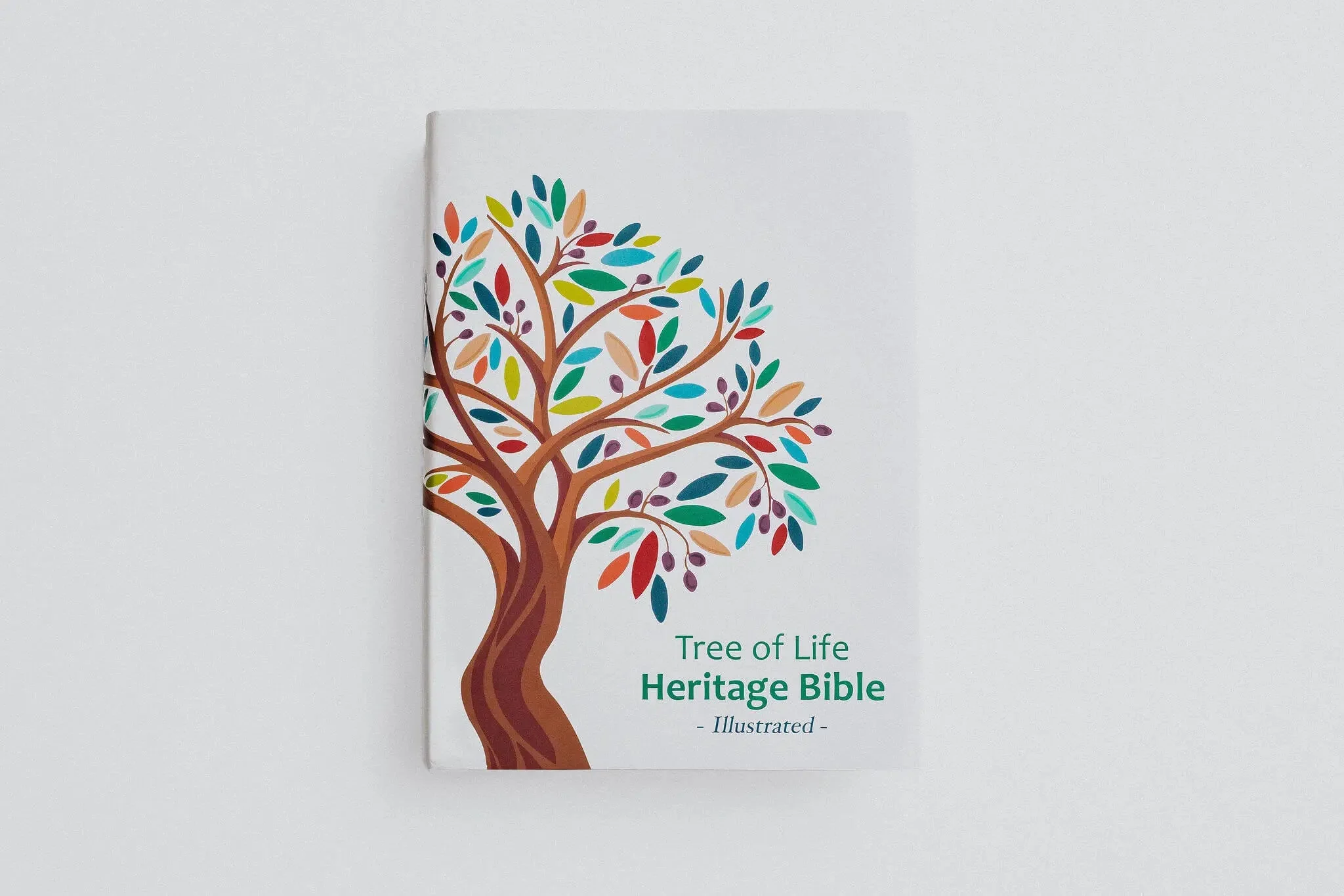 TLV Heritage Bible [Illustrated] - Image 4