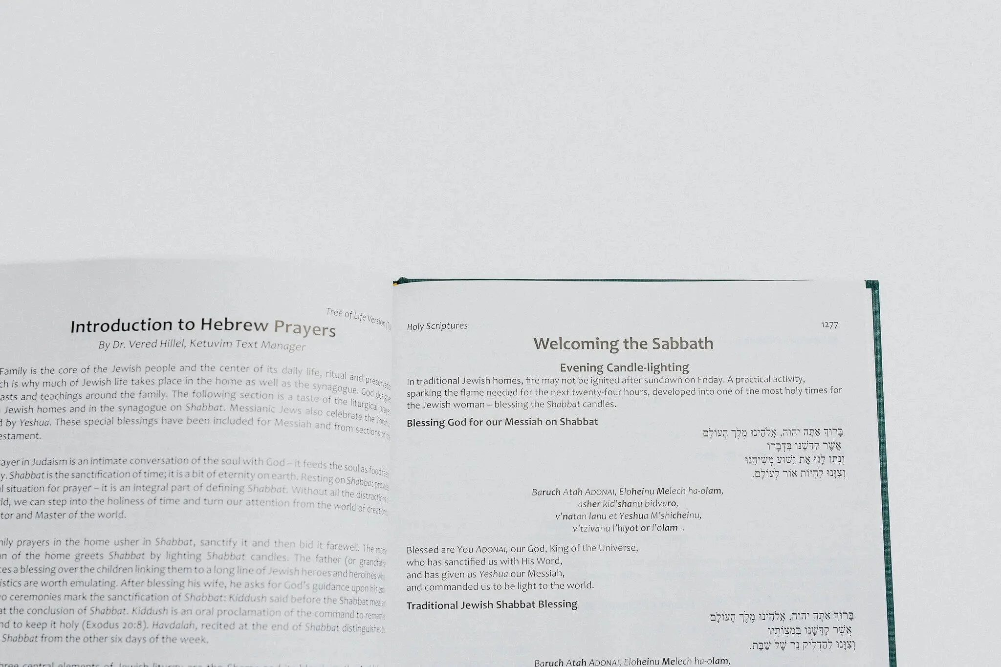 TLV Heritage Bible [Illustrated] - Image 6