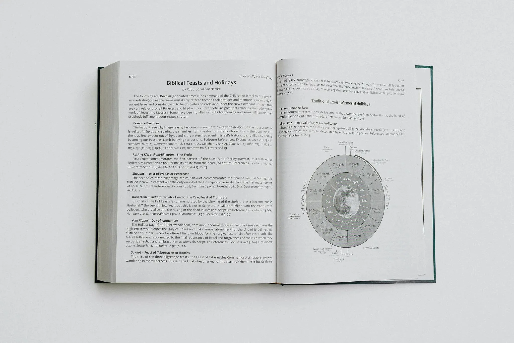 TLV Heritage Bible [Illustrated] - Image 9